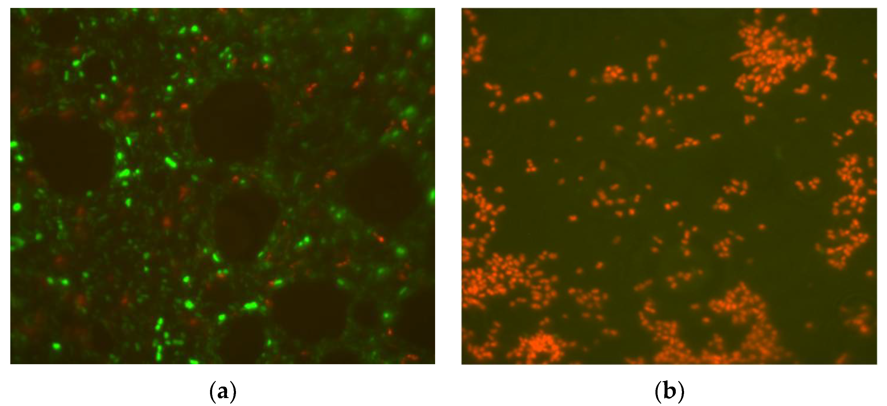 Water 13 02731 g004 550