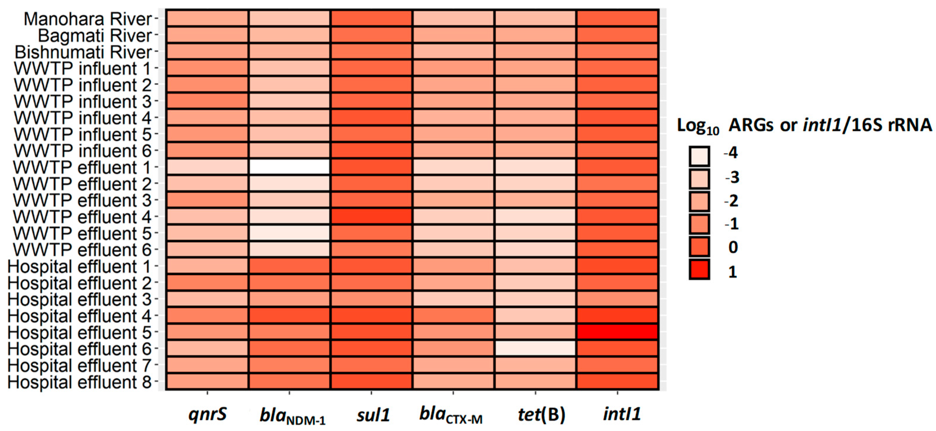 Water Free FullText Release of AntibioticResistance Genes from