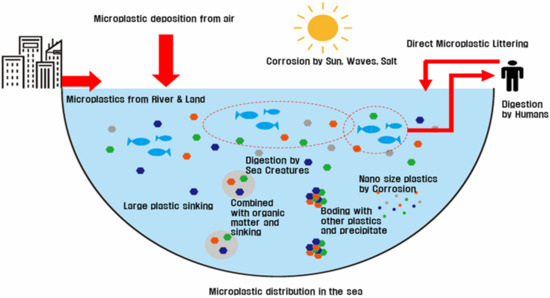 Water Free Full Text Review Of Microplastic Distribution Toxicity Analysis Methods And Removal Technologies Html Water Free Full Text Review Of Microplastic Distribution Toxicity Analysis Methods And Removal Technologies Html