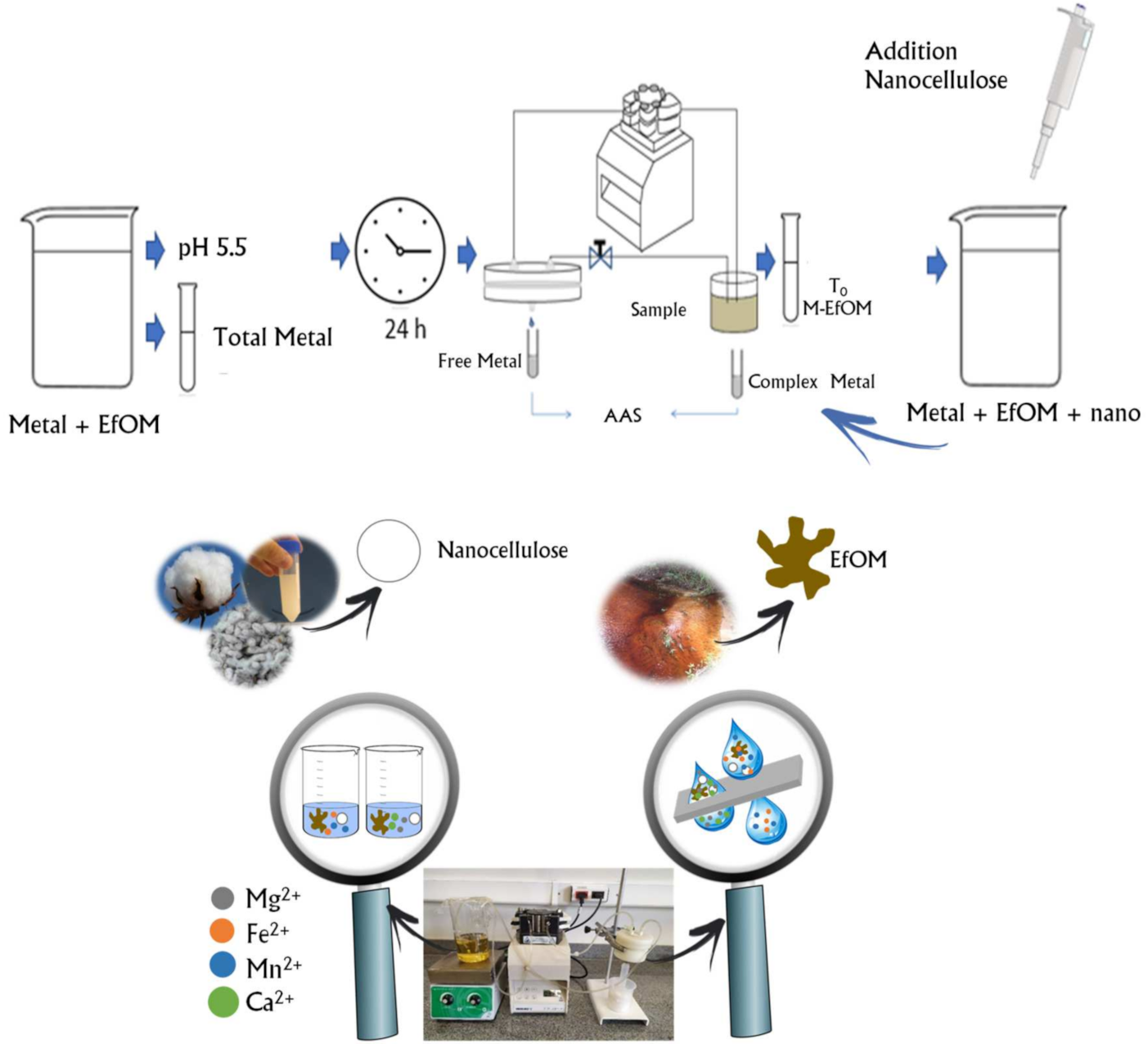 Water 13 02765 g001 550