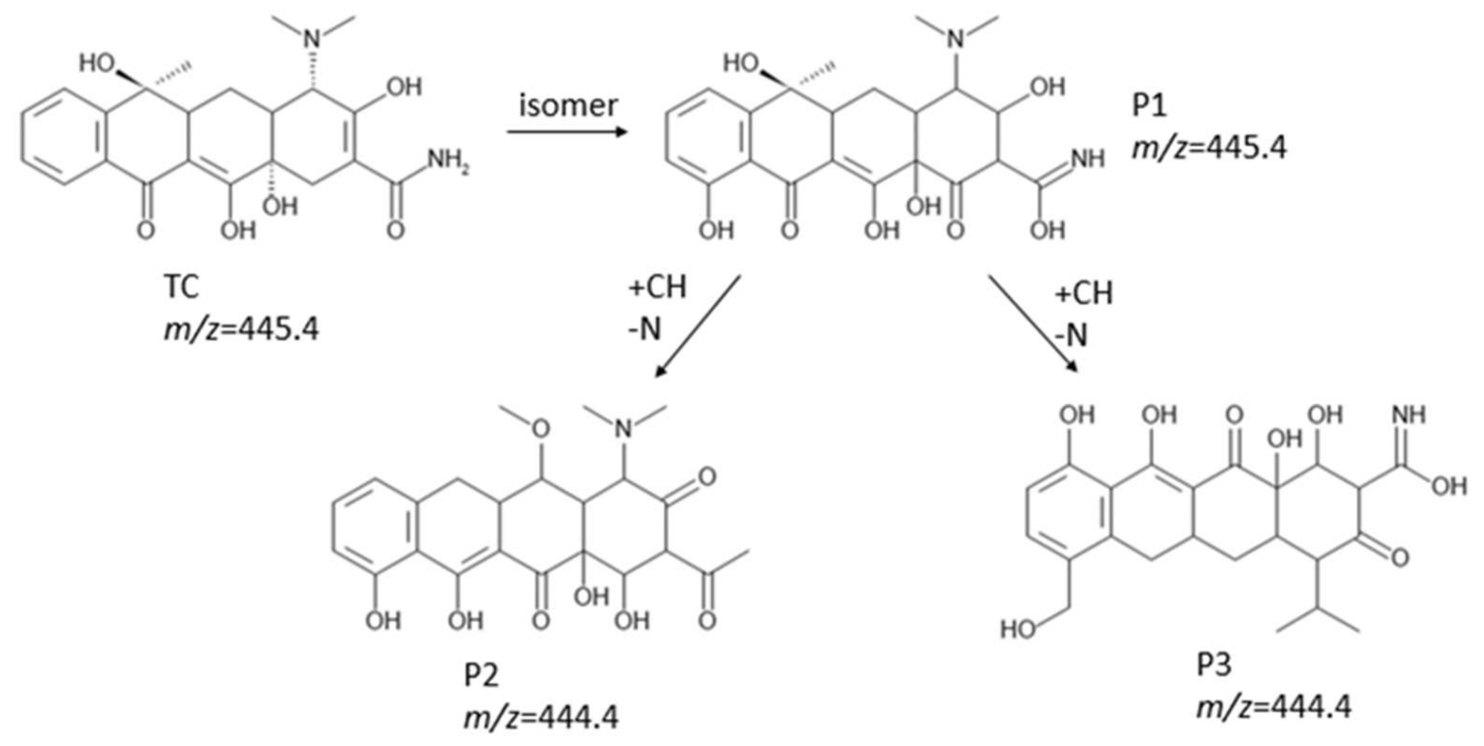 Water 13 02772 g006 550