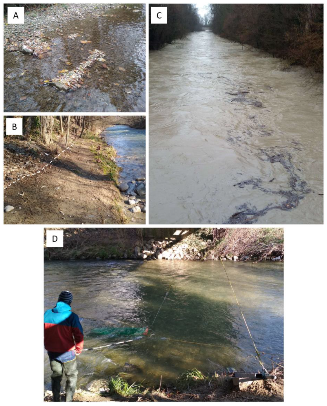 Water 13 02783 g002 Water 13 02783 g002