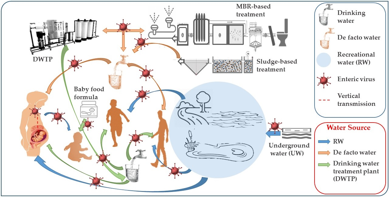 Water Free Full Text Insights Into Gastrointestinal Virome Etiology And Public Exposure Html