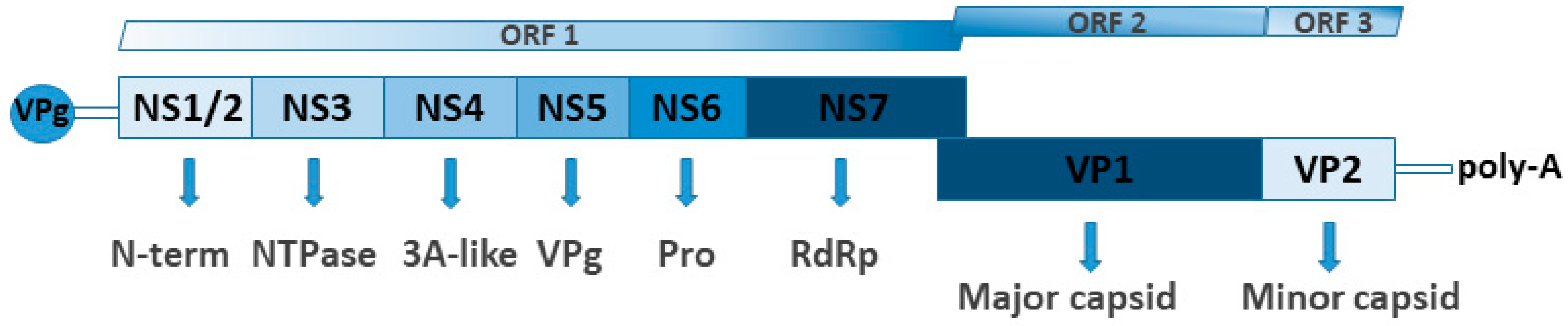 Water 13 02794 g002 Water 13 02794 g002