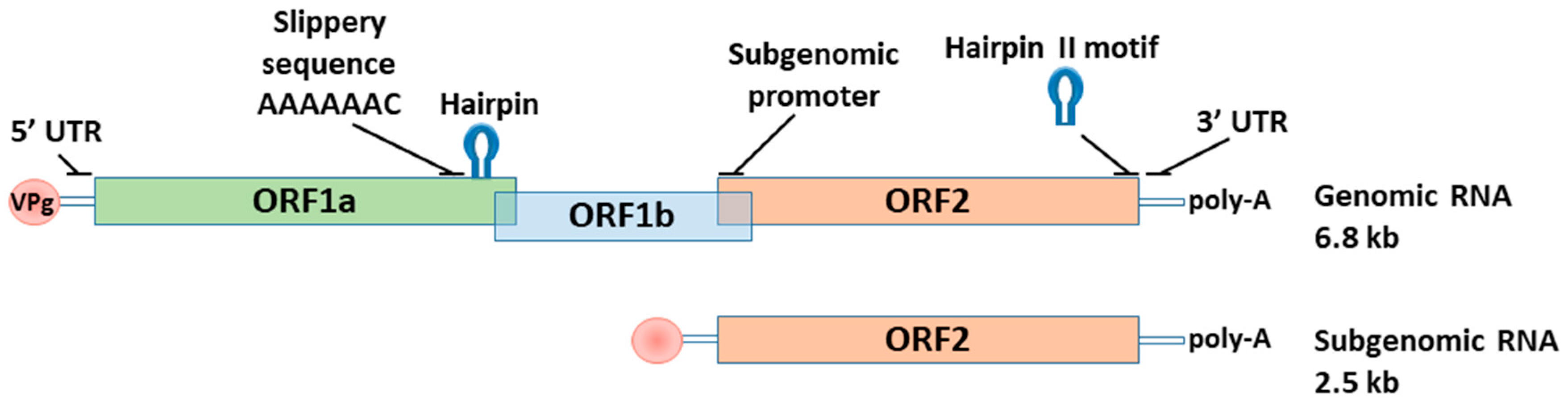 Water 13 02794 g003 Water 13 02794 g003