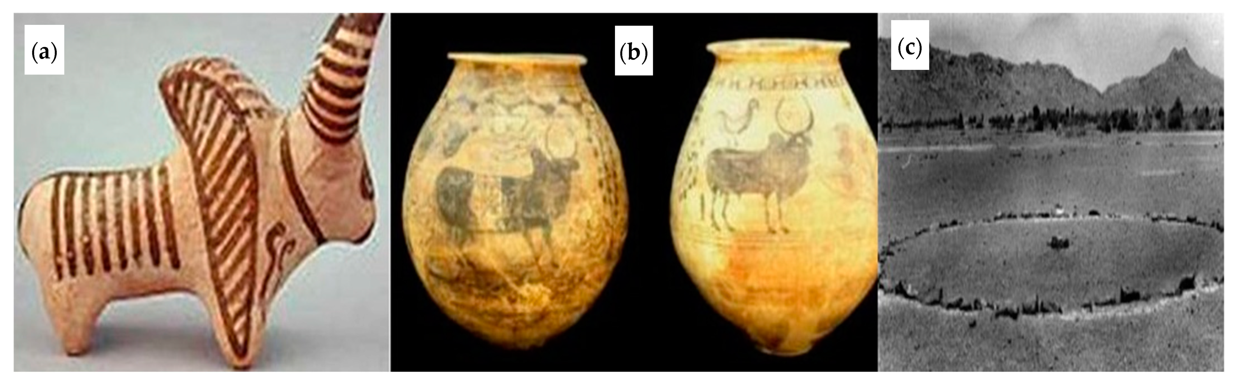 Water 13 02813 g005 550