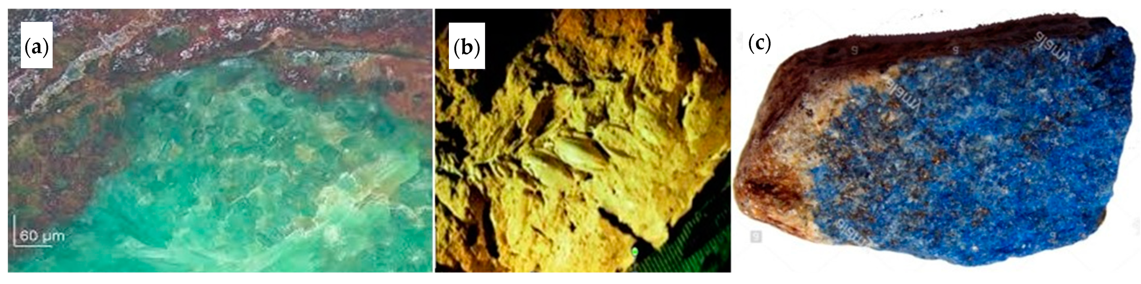 Water 13 02813 g006 550