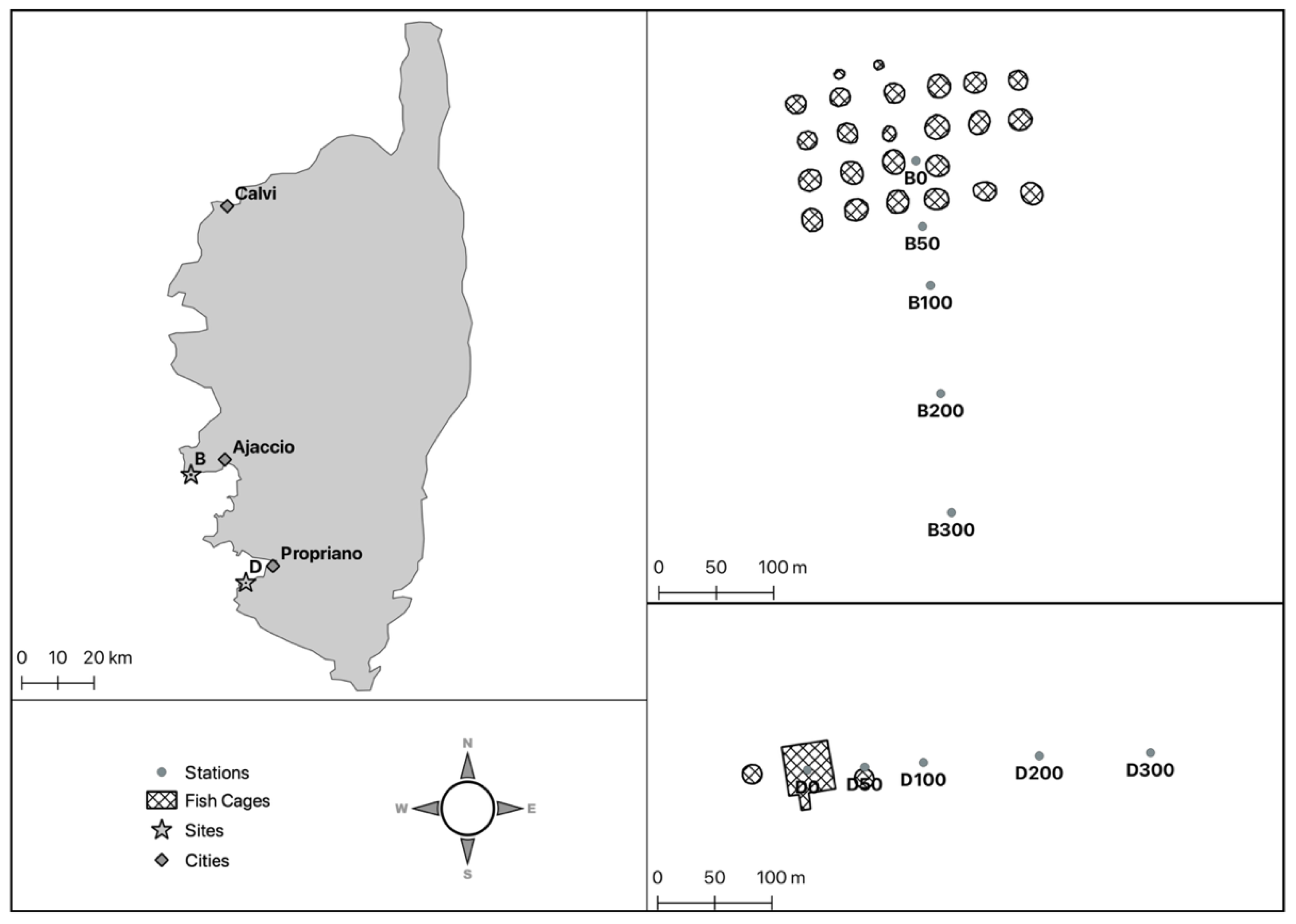 Water 13 02821 g001 550