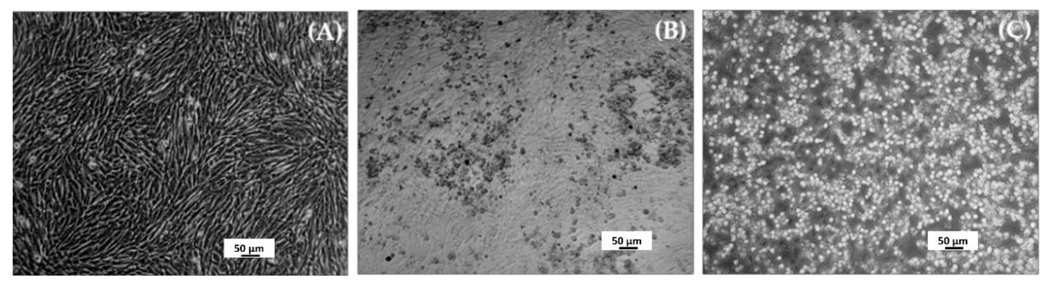 Water 13 02834 g002 550