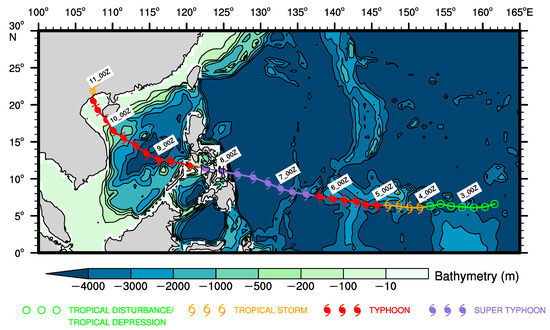 【NEW限定品】 Response Ocean to Haiyan Super-Typhoon ホビー・楽器・アート