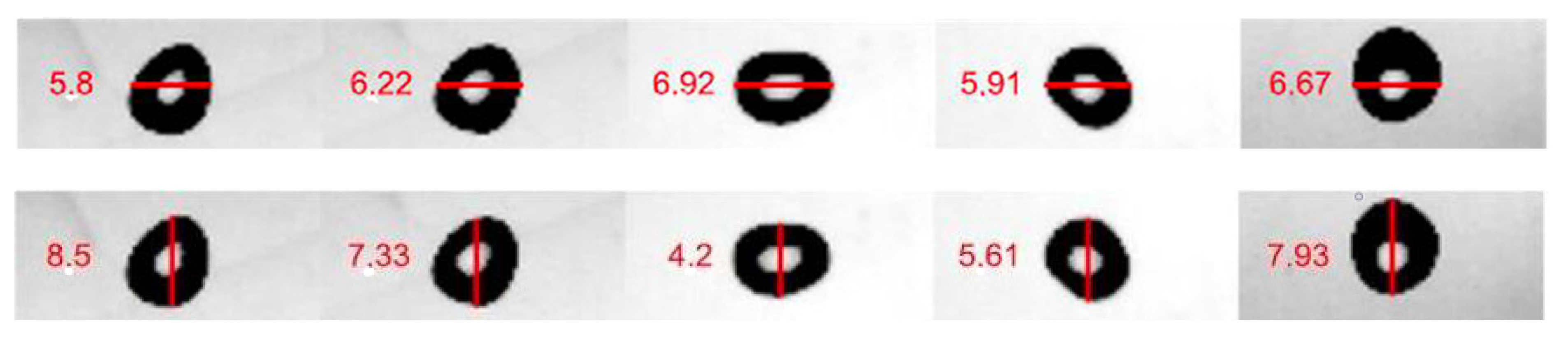 Water 13 02851 g001b