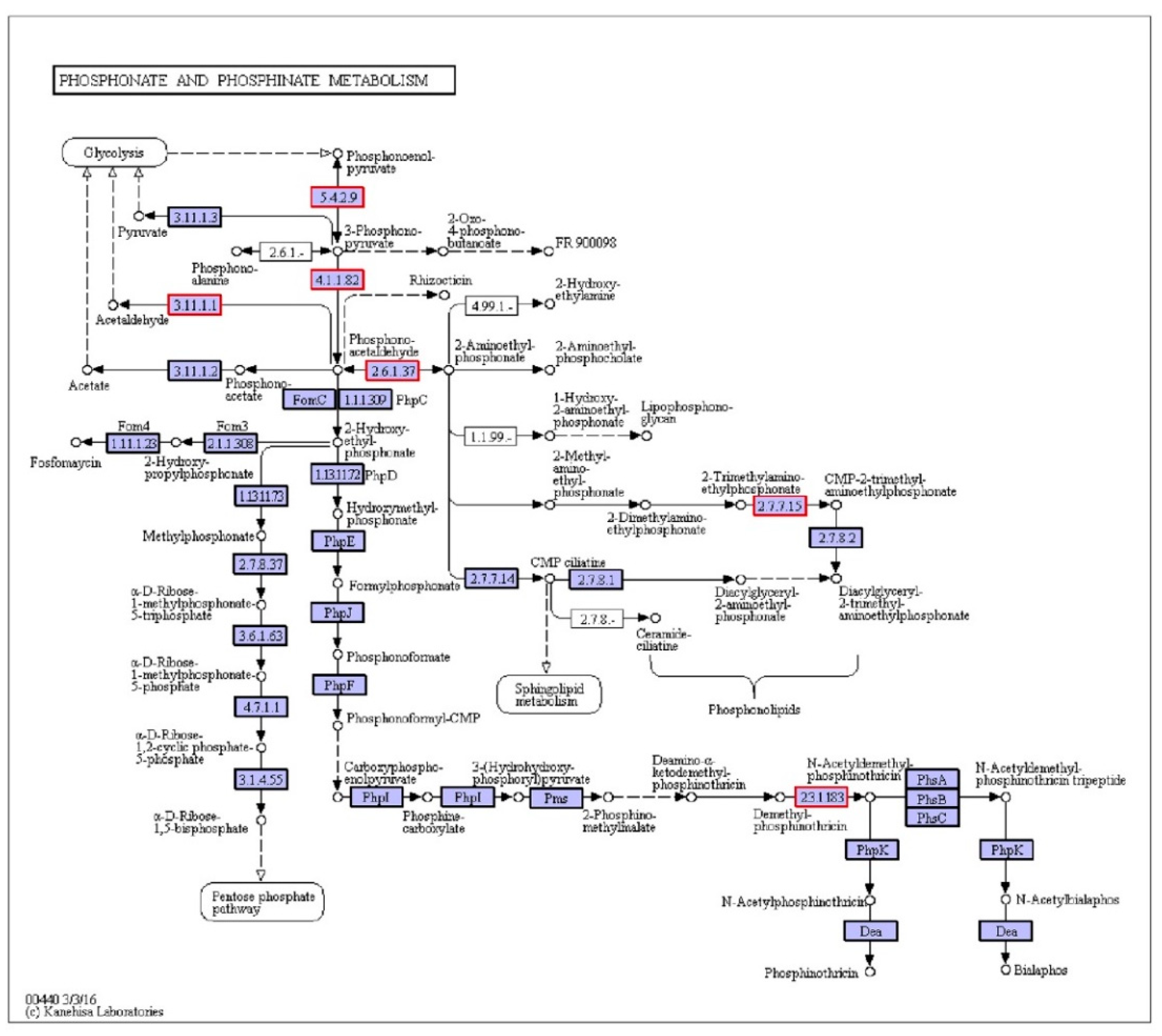 Water 13 02902 g007 550