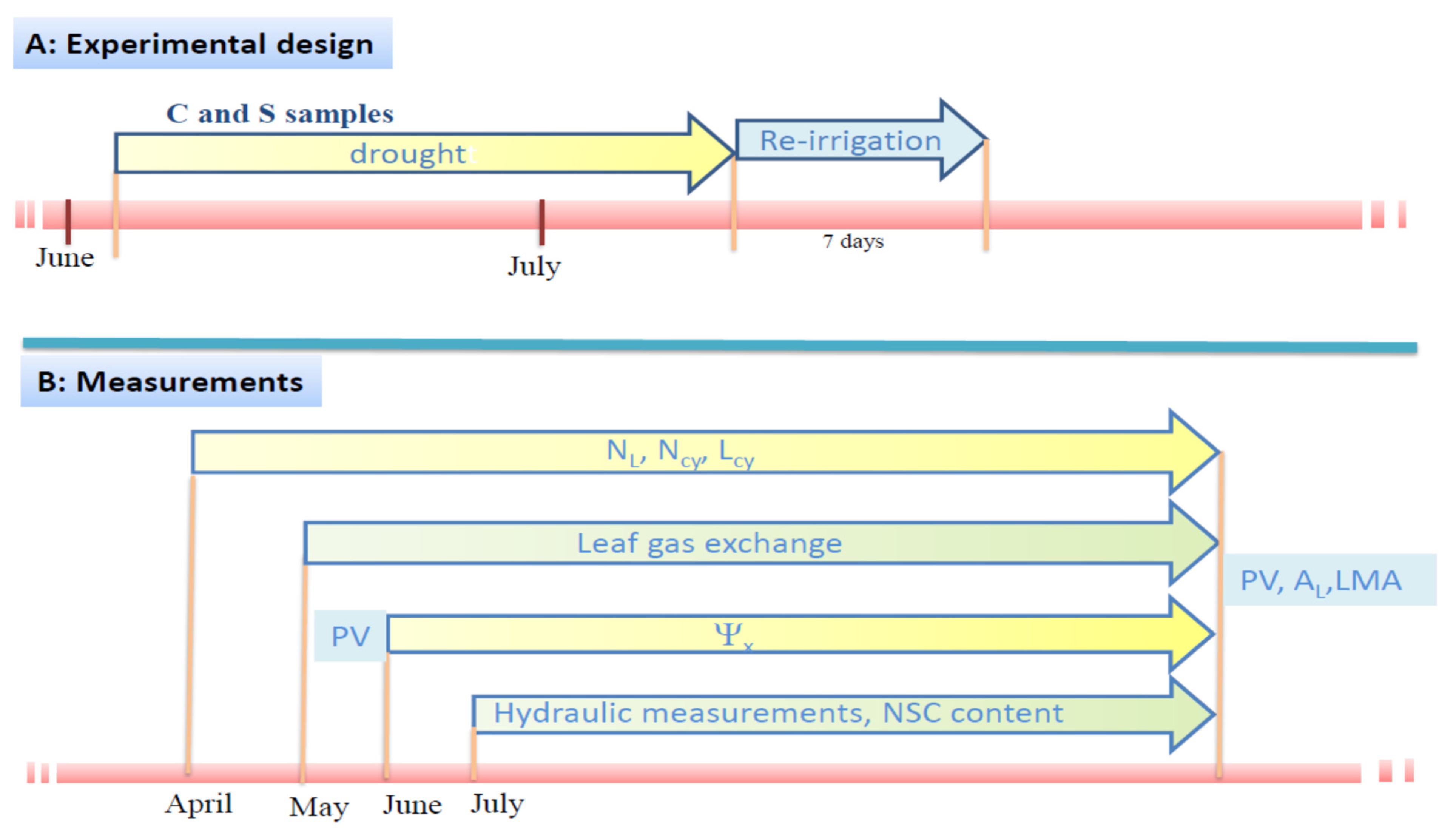Water 13 02911 g001 550