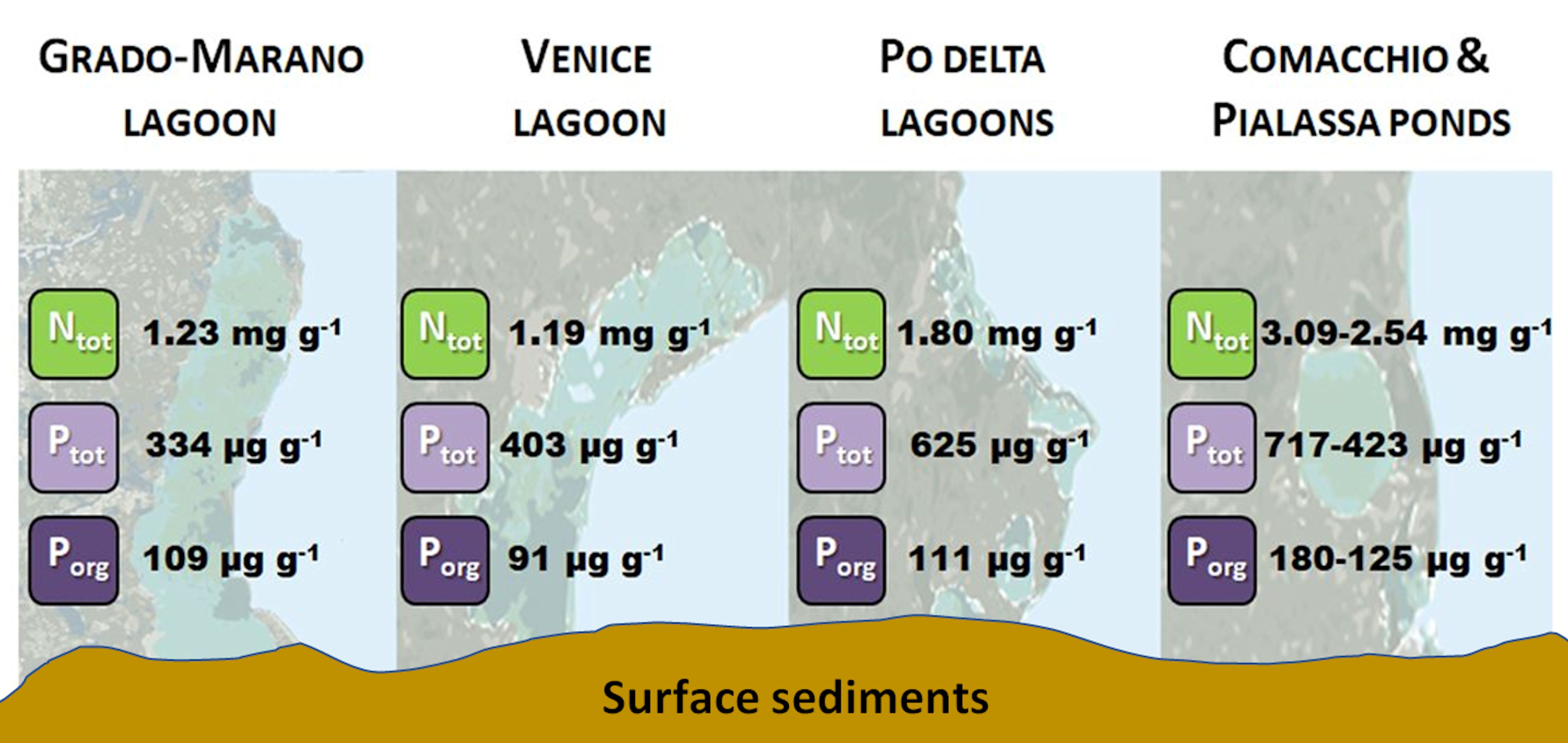 Water Free Full Text Trends Of Nitrogen And Phosphorus In Surface Sediments Of The Lagoons Of The Northern Adriatic Sea Html