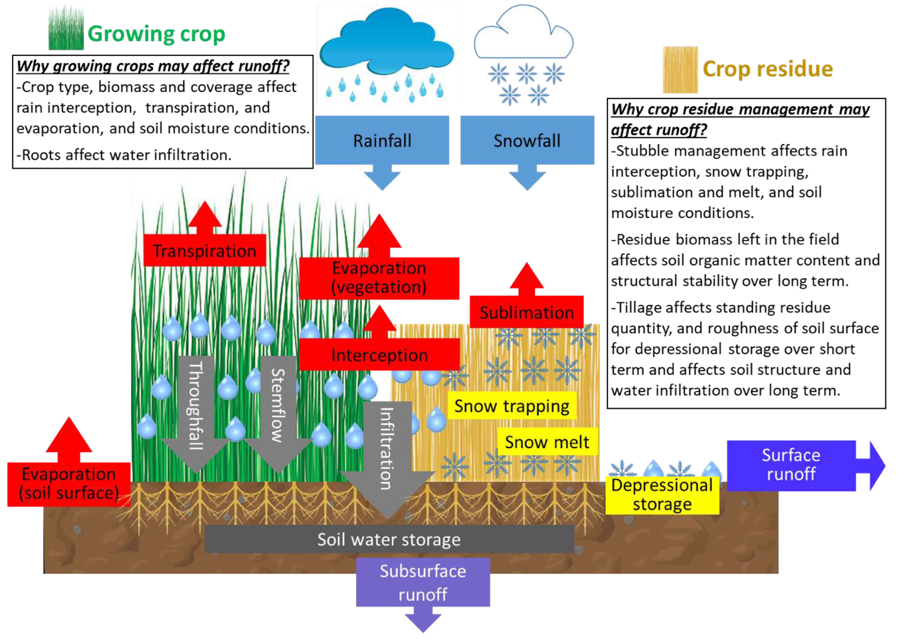 Moisture Management - an overview