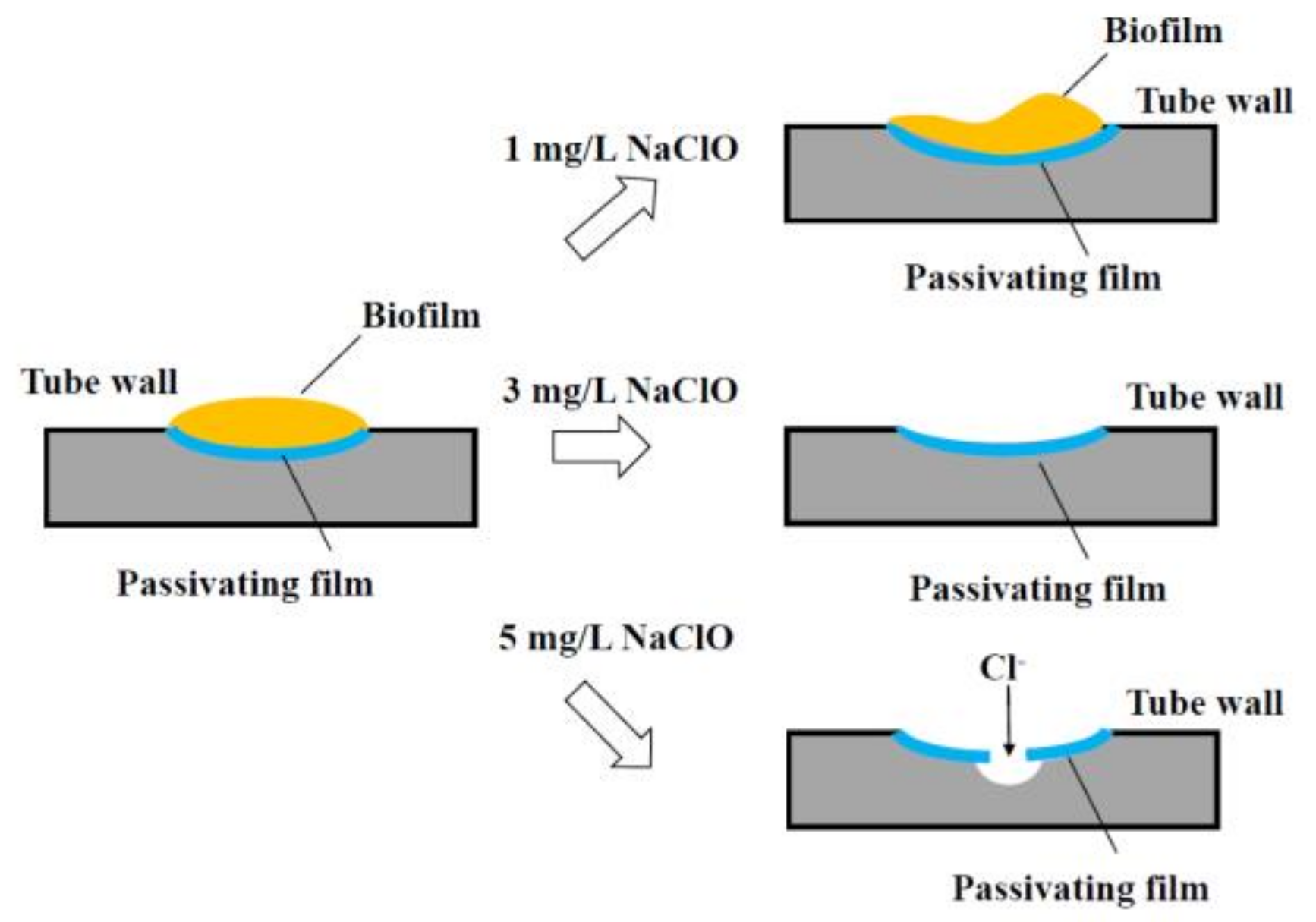 Water 13 02967 g003 550