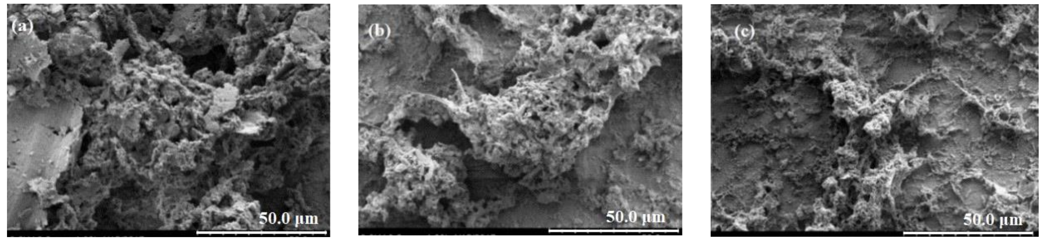 Water 13 02967 g005 550