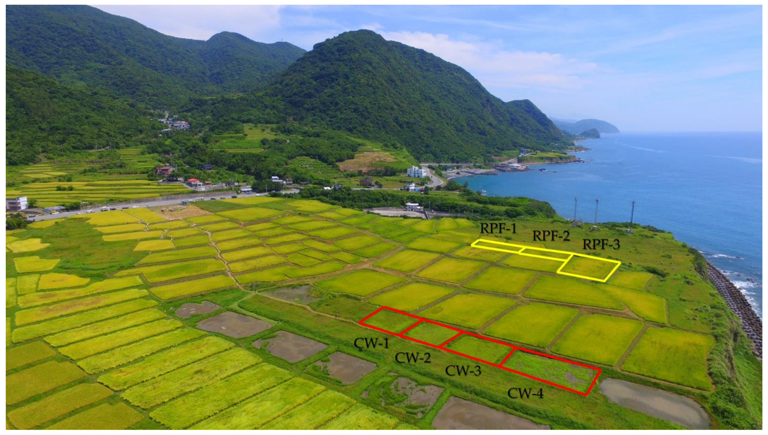 Water 13 02973 g002 550