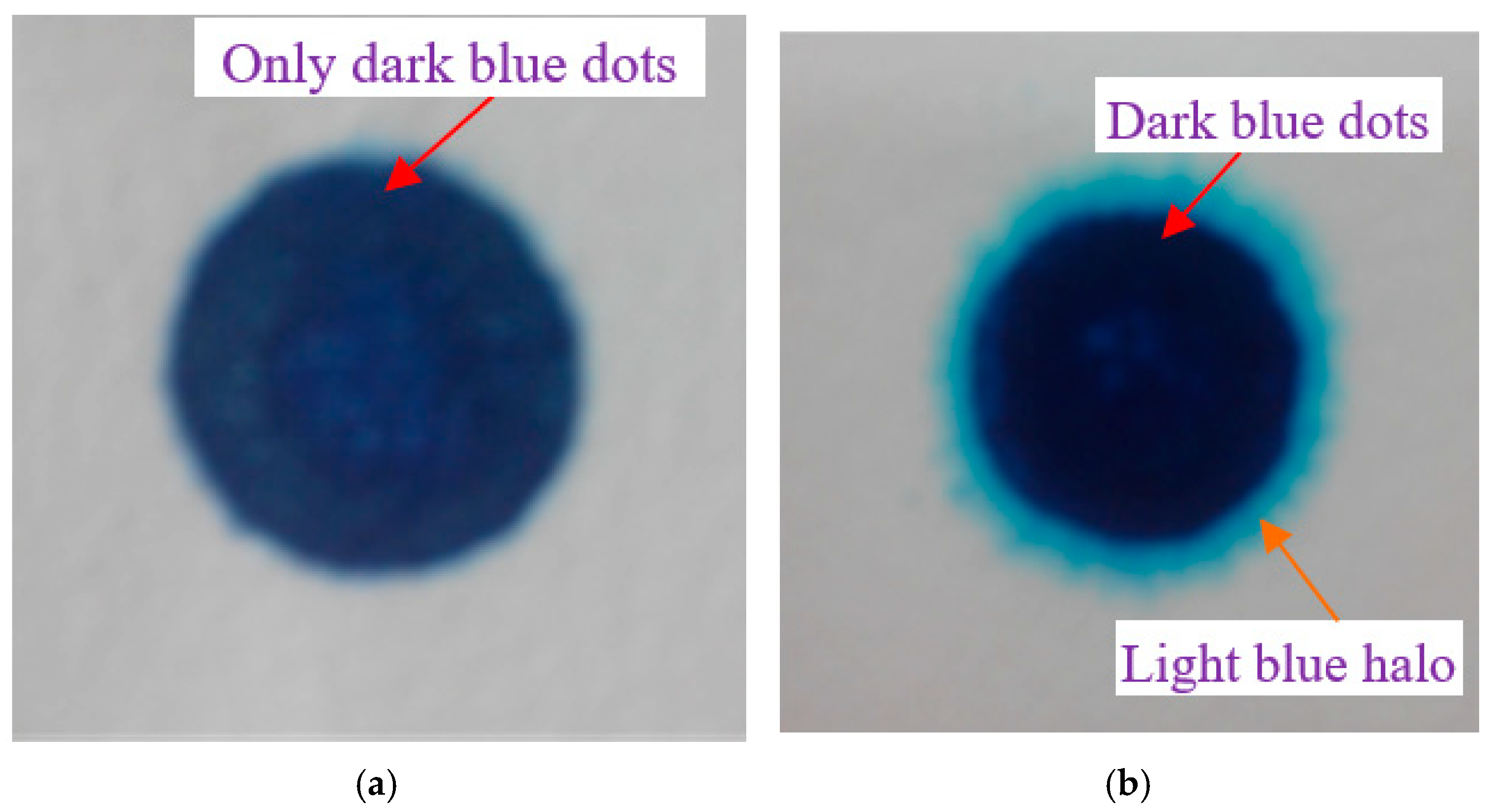 Water 13 02991 g001 550