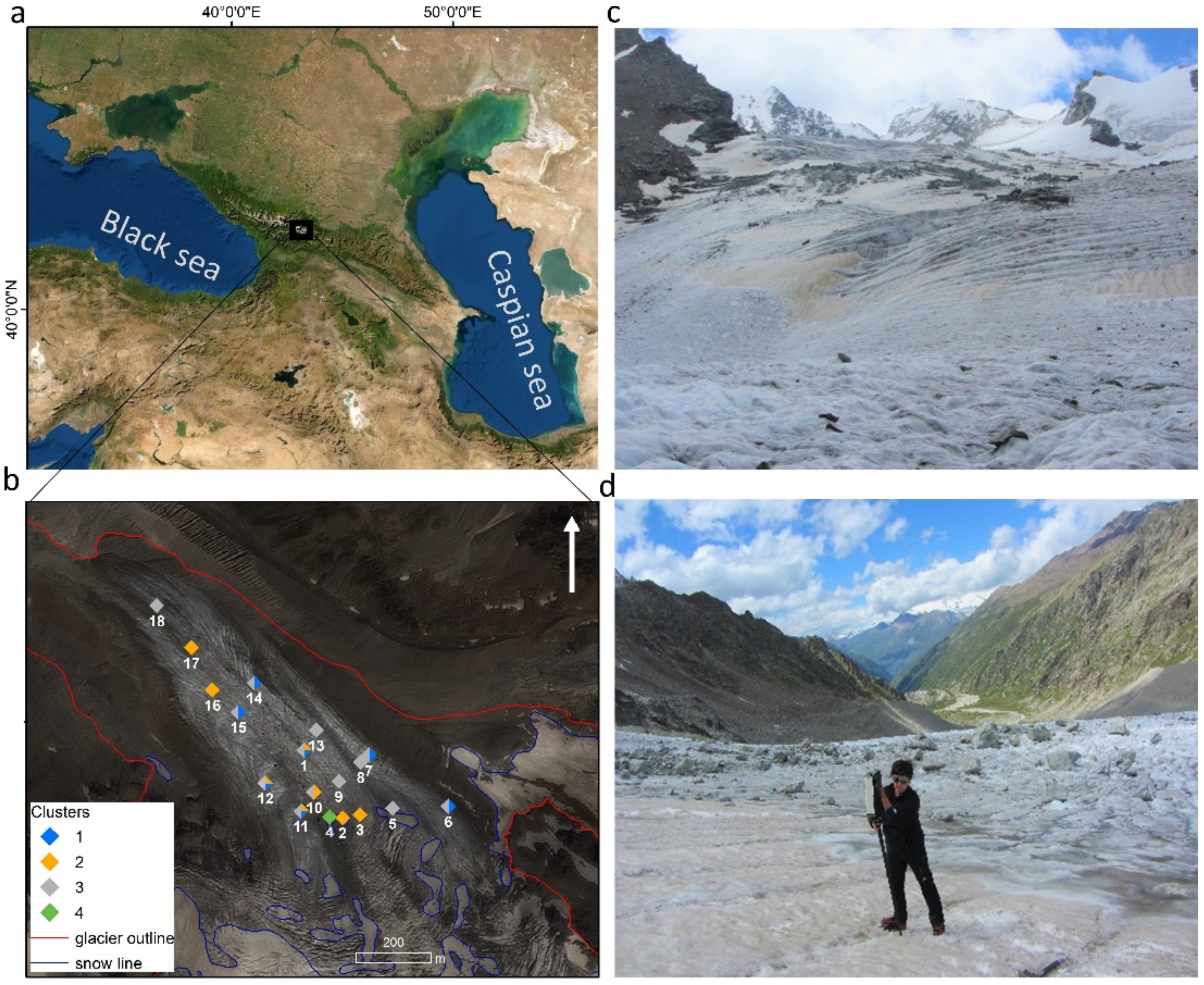 Water Free Full-text Optical Geochemical And Mineralogical Characteristics Of Light-absorbing Impurities Deposited On Djankuat Glacier In The Caucasus Mountains Html