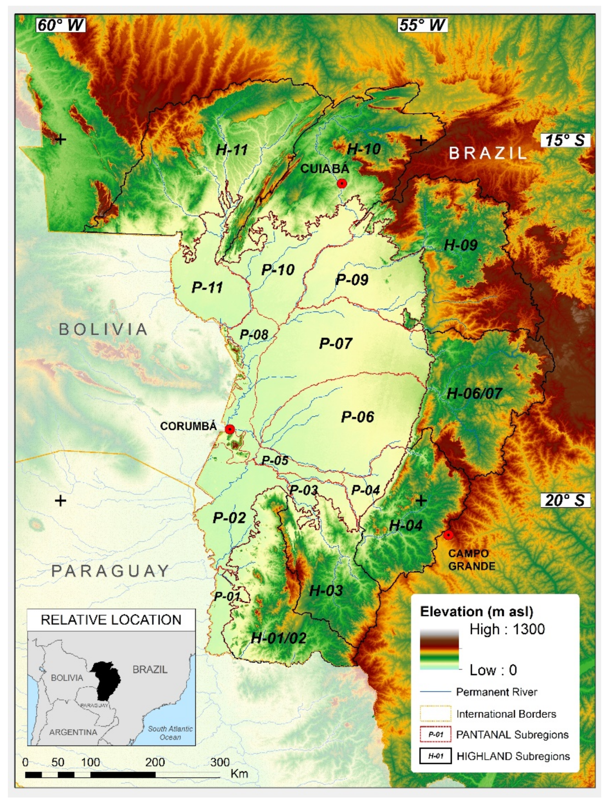 PDF) Ciencia Pantanal vol 5 Portuguese
