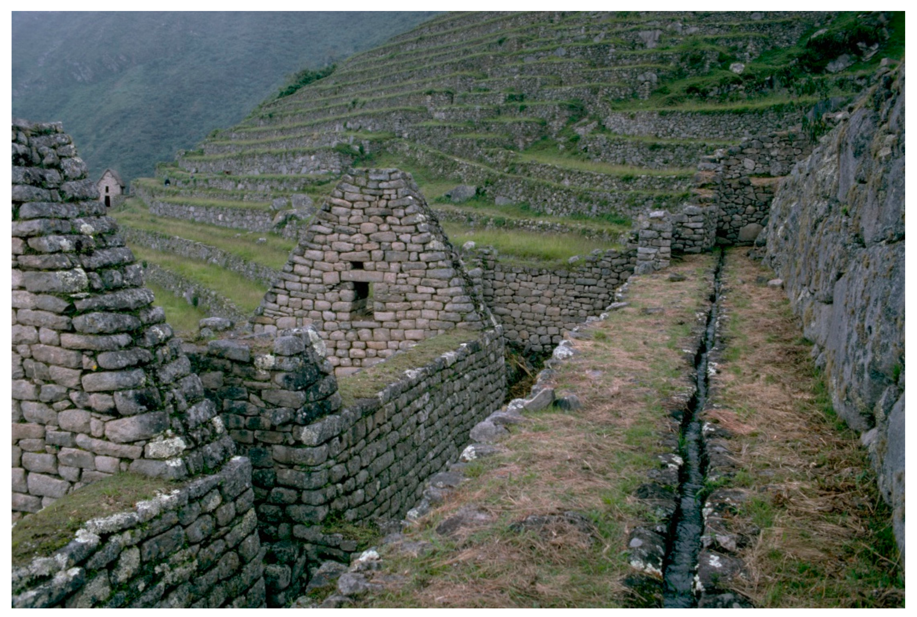 Water 13 03049 g005 550