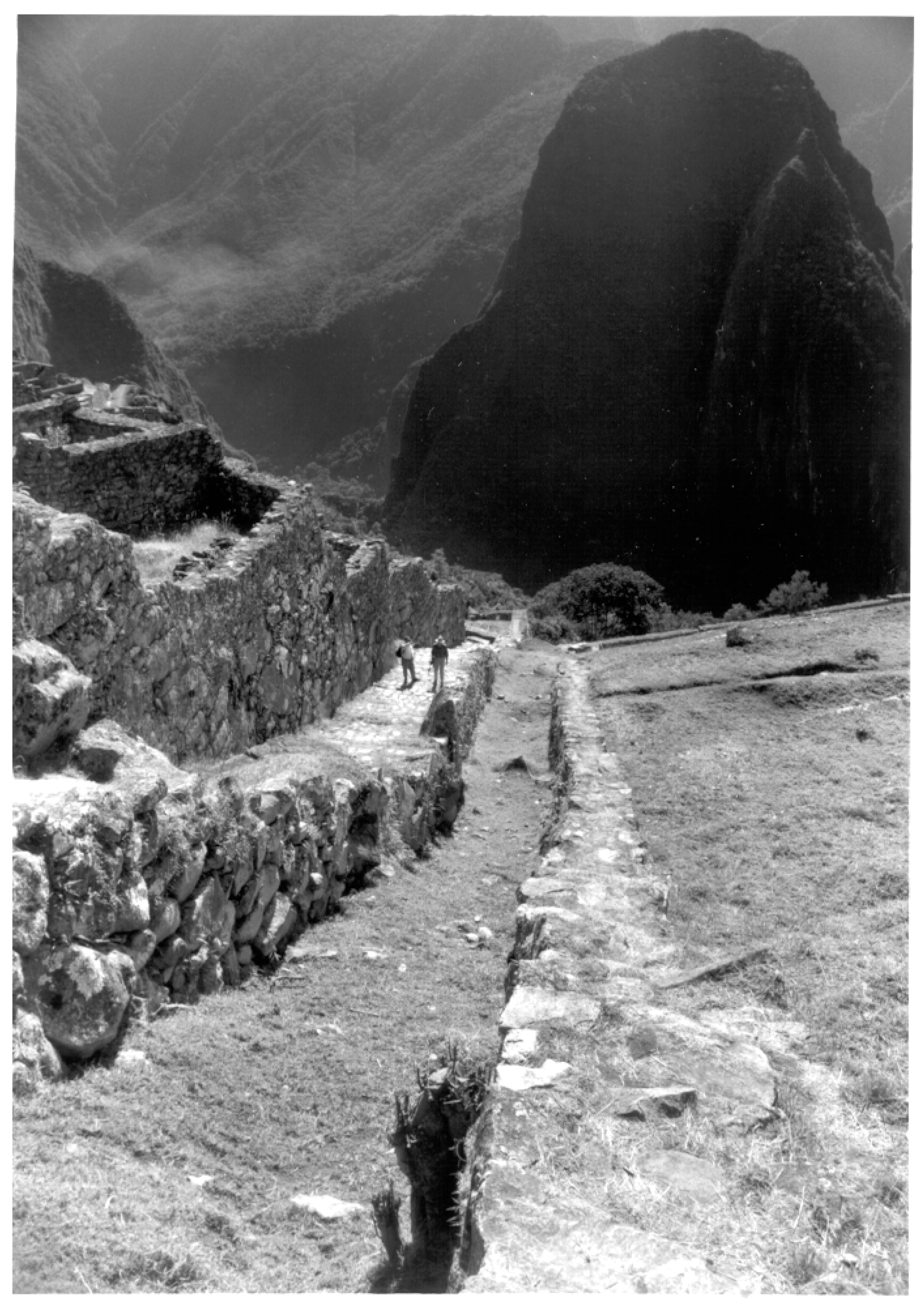 Water 13 03049 g008 550