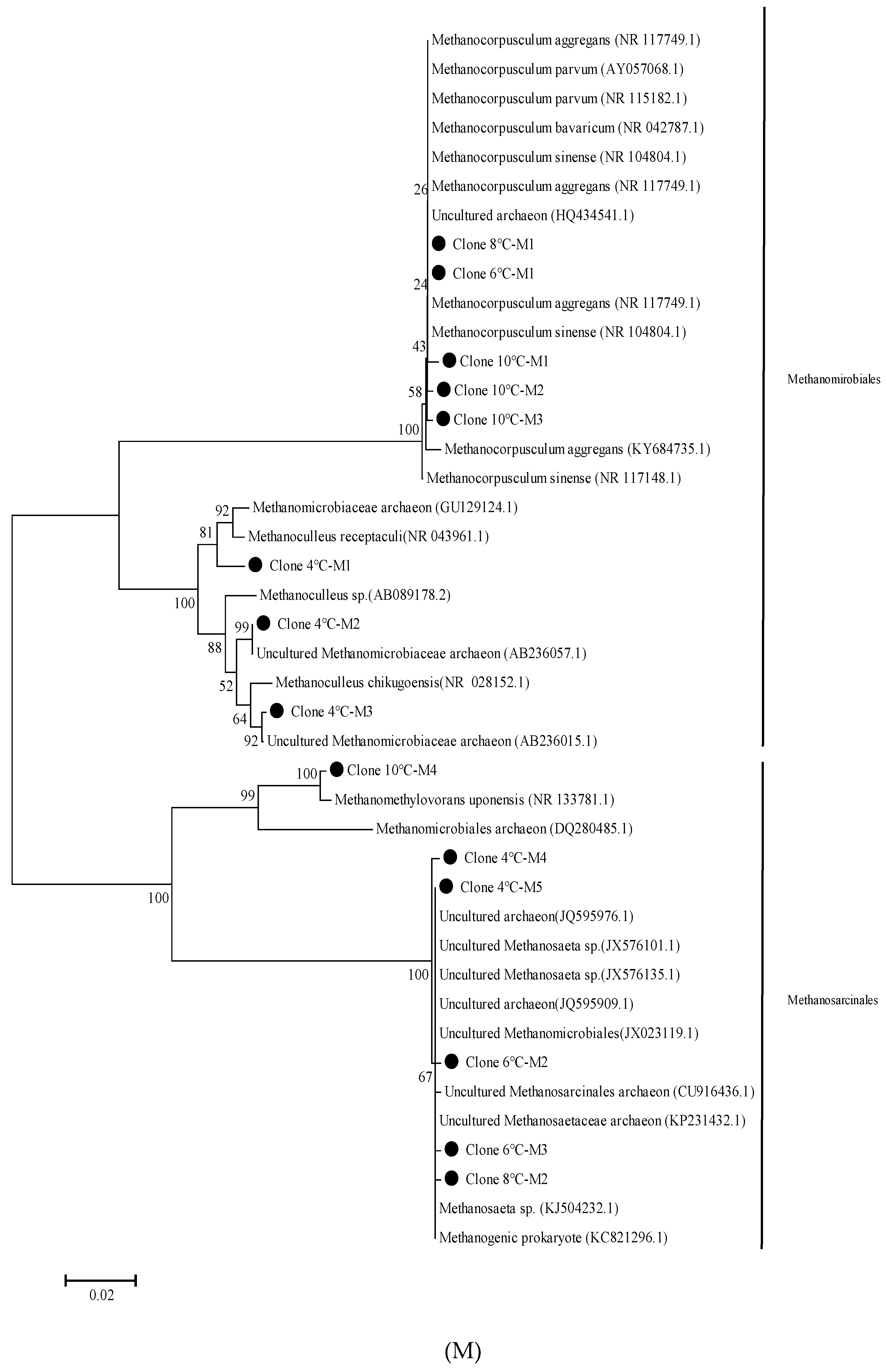 Water 13 03051 g005b