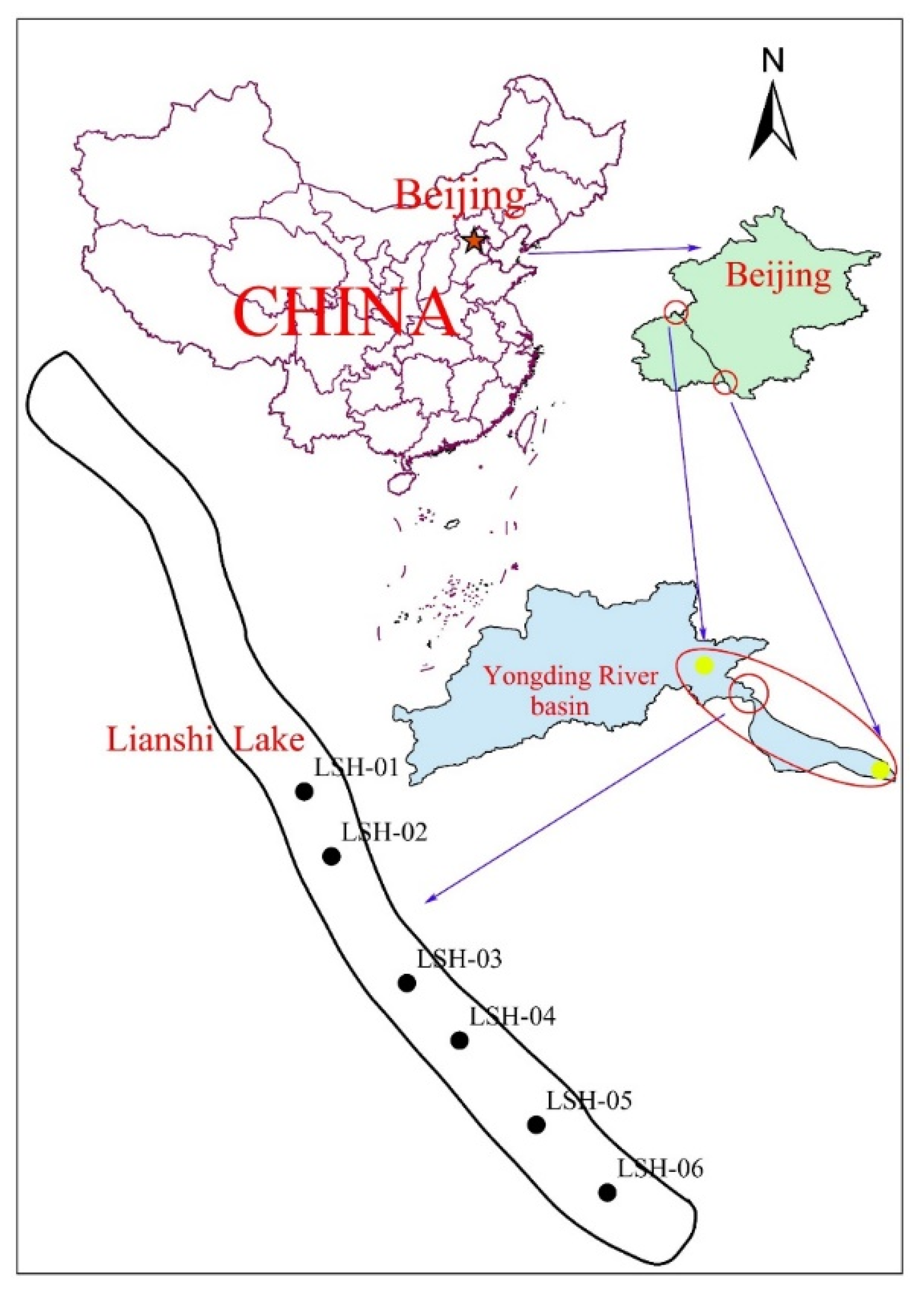 Water 13 03079 g001 550