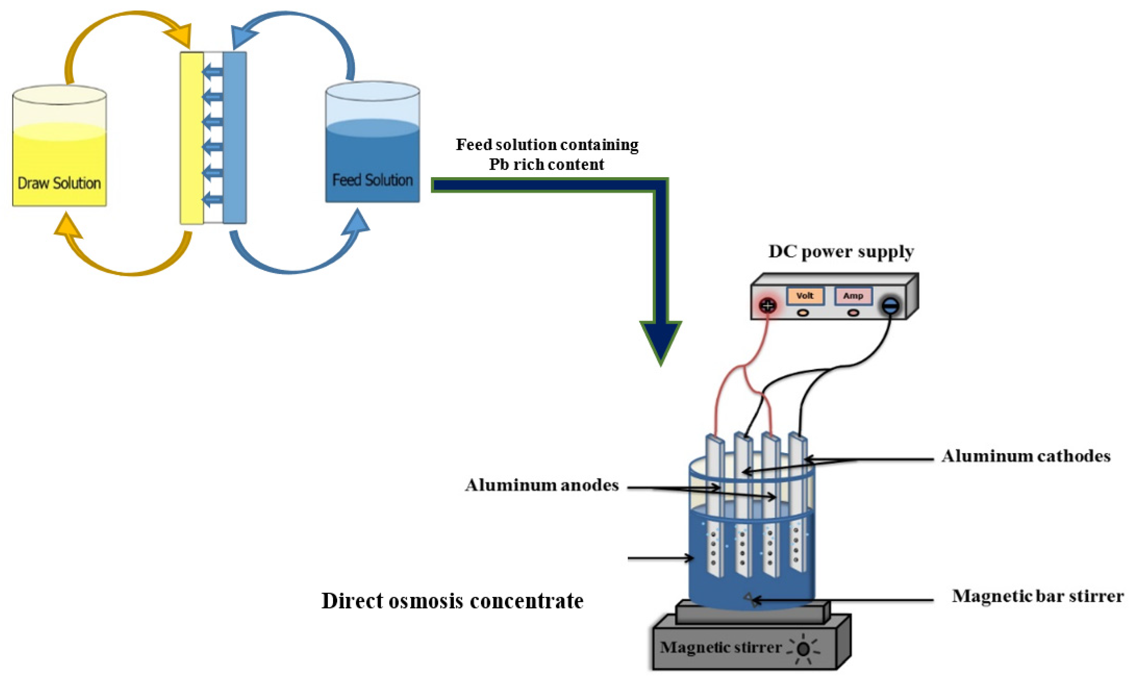 Water 13 03136 g001 550
