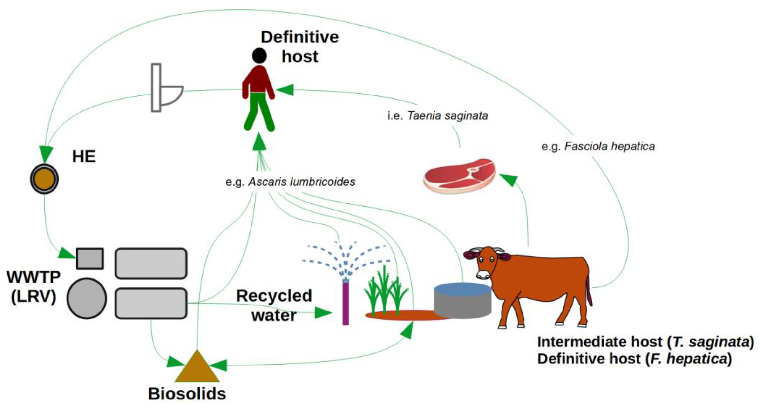 Water 13 03149 g001 550