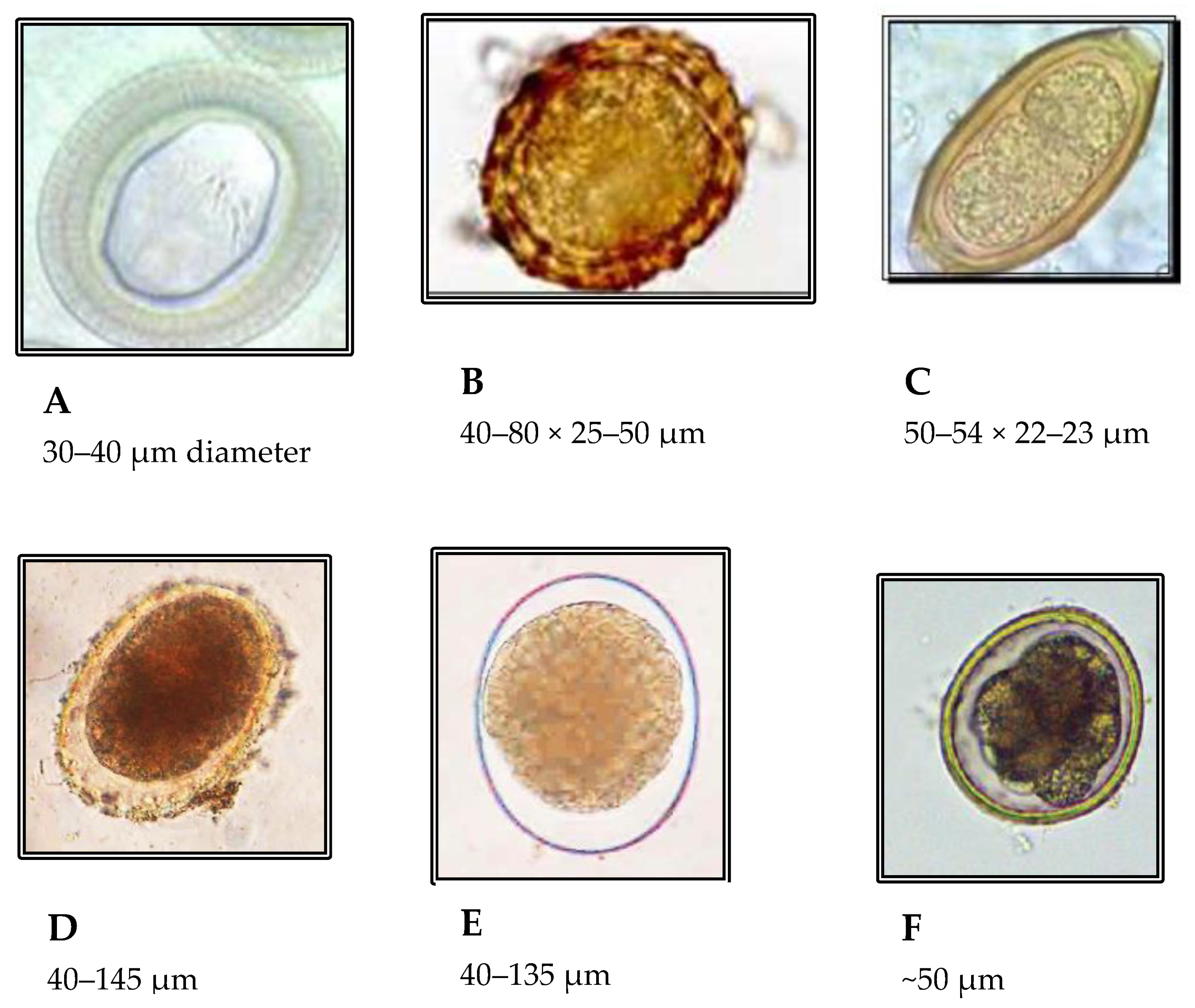 Water 13 03149 g002 550