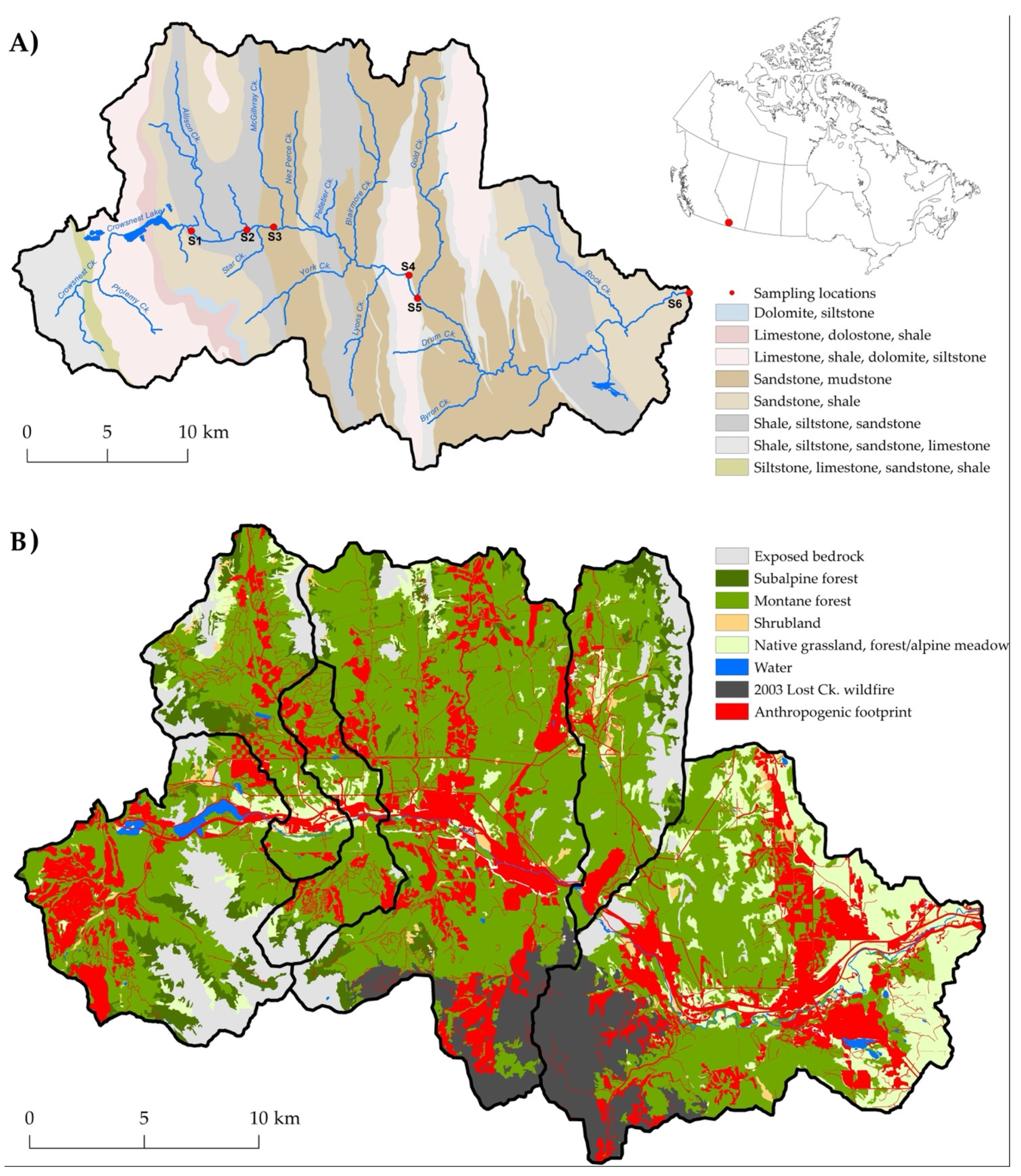 Water 13 03151 g001 550