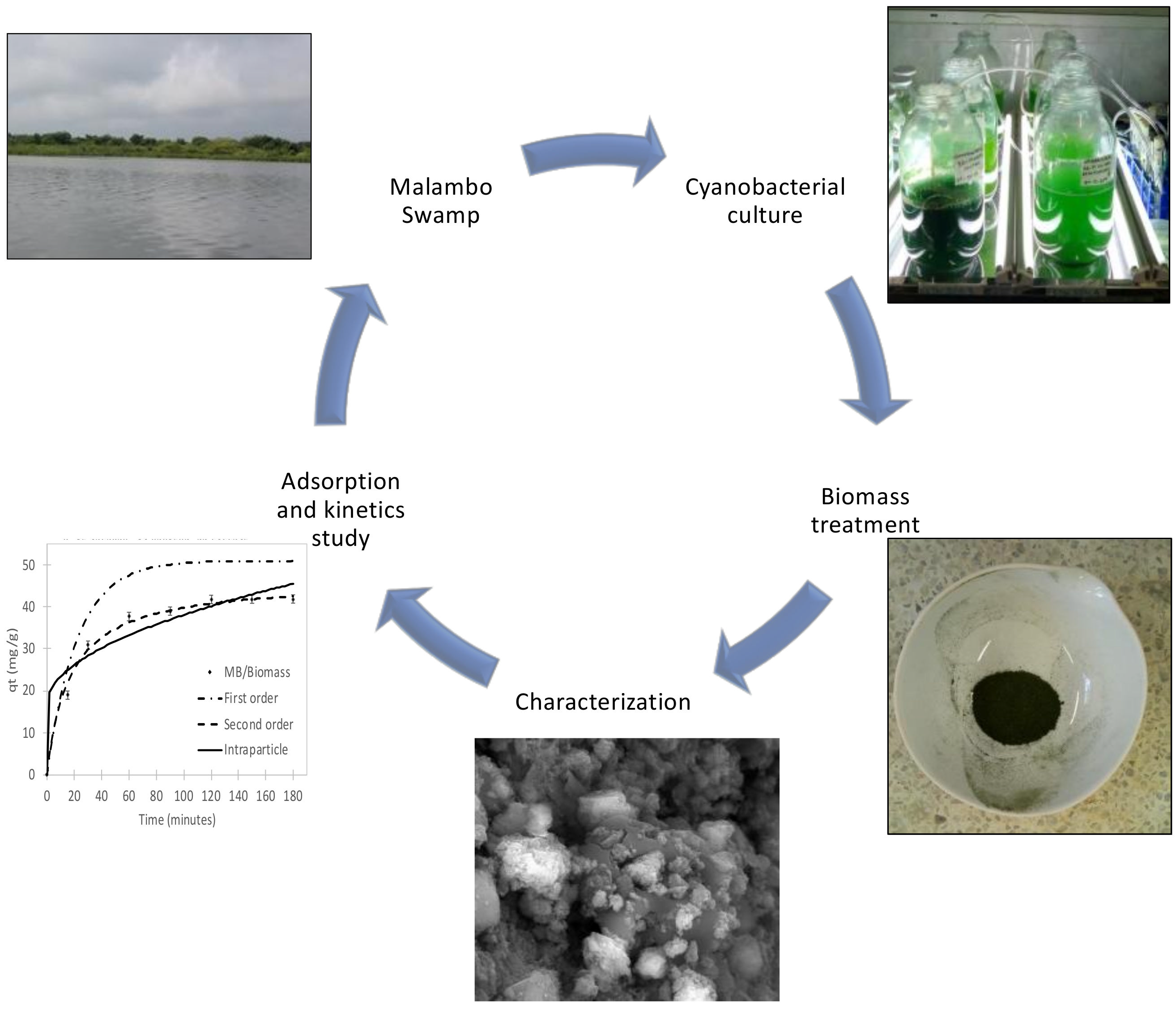 Water 13 03176 g002 550