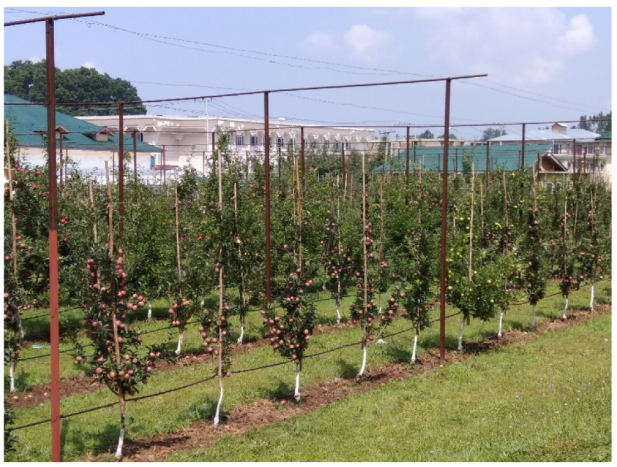 Water 13 03208 g001 550