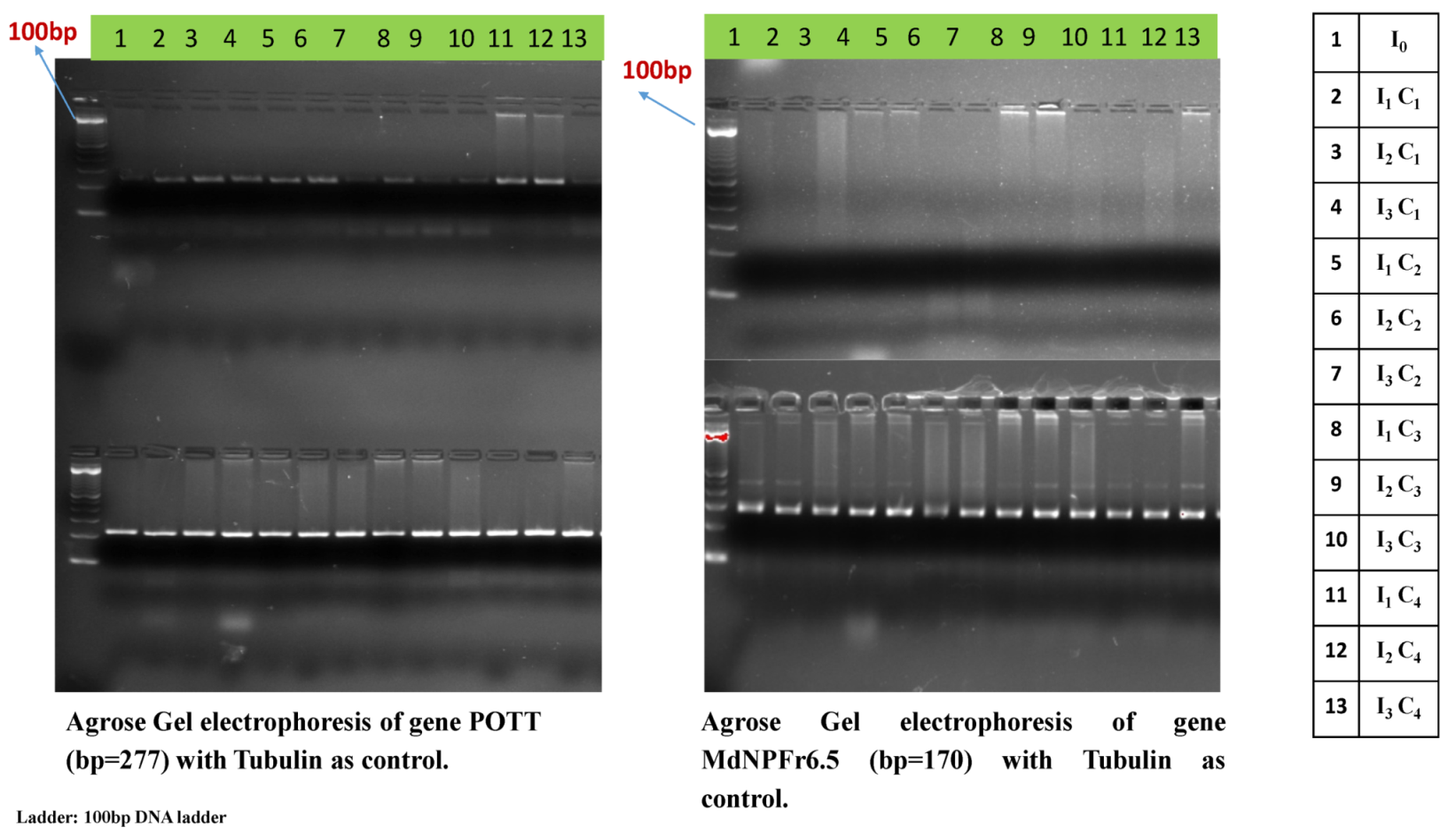 Water 13 03208 g008 550