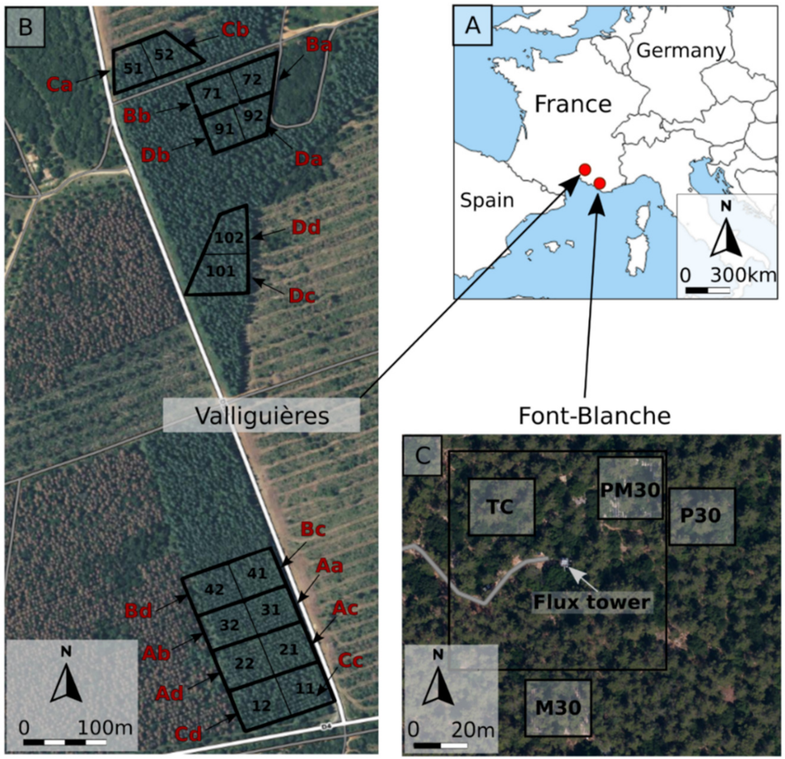 Water 13 03218 g001 550