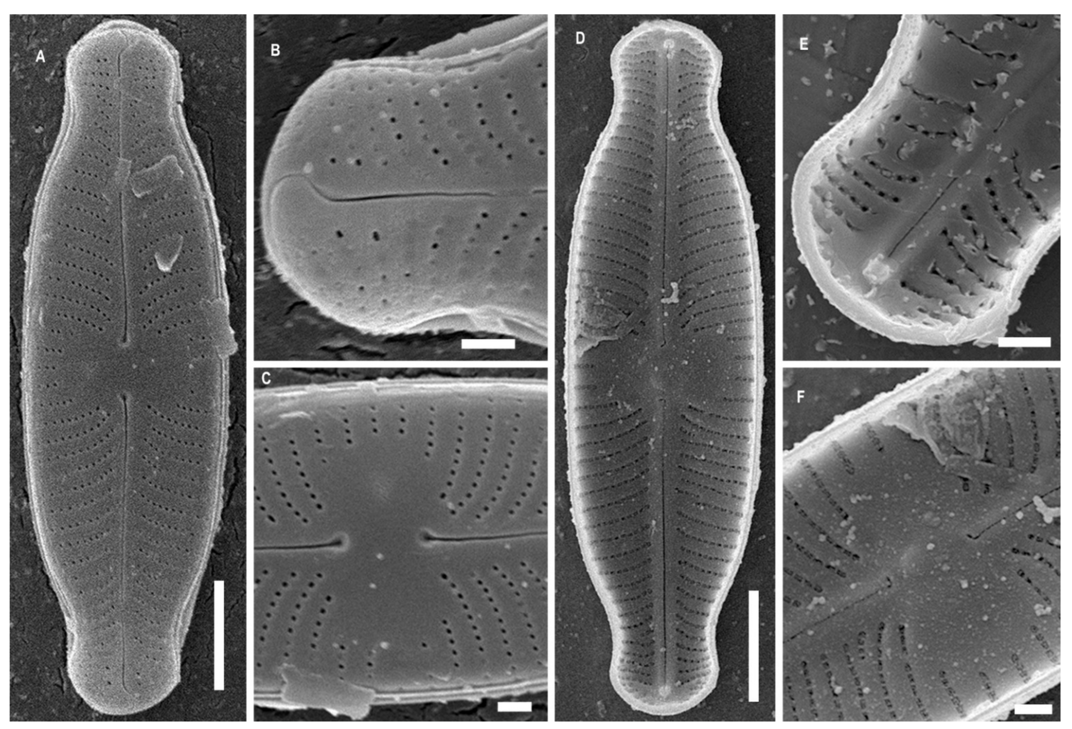 Water 13 03276 g003 550