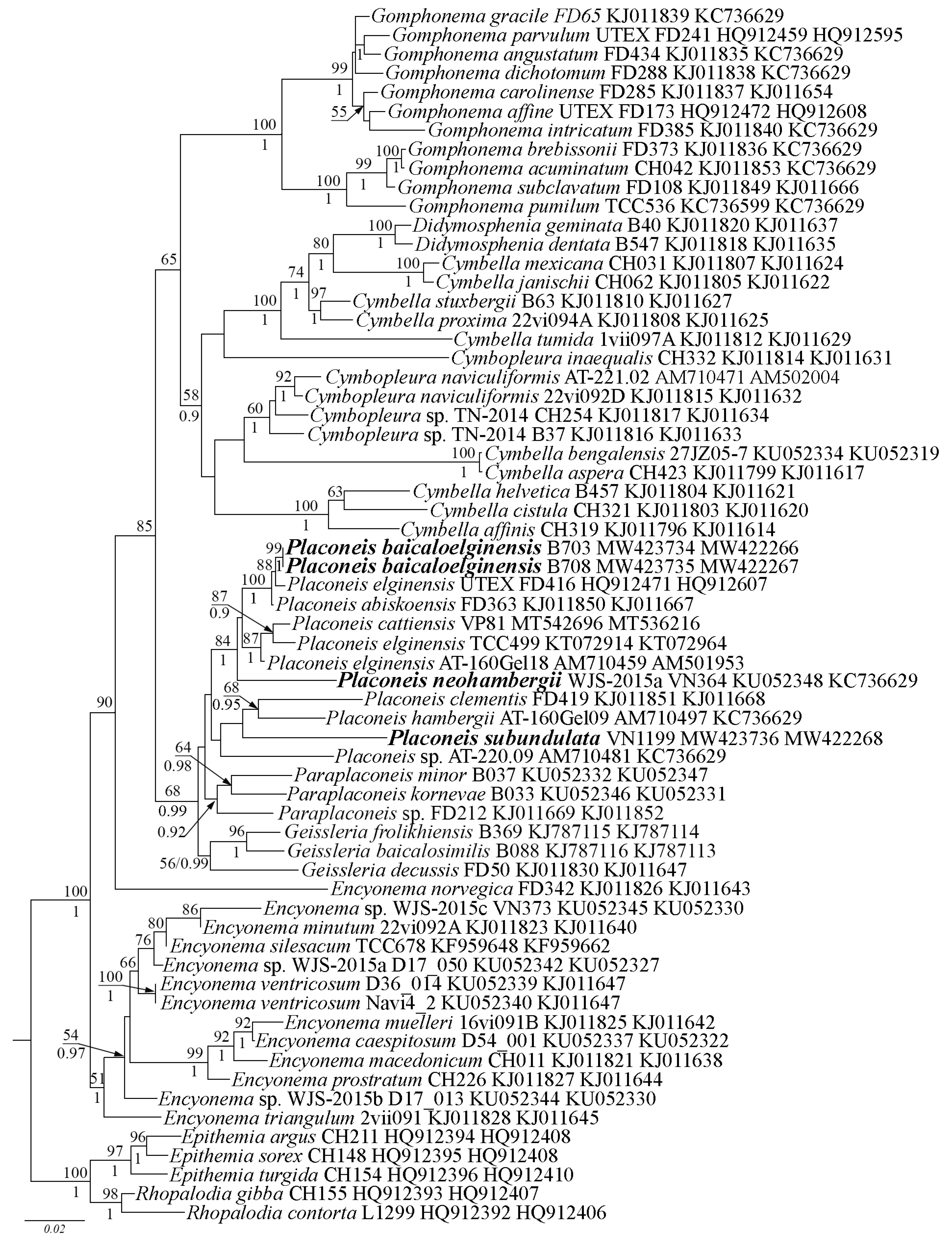 Water 13 03276 g005 550