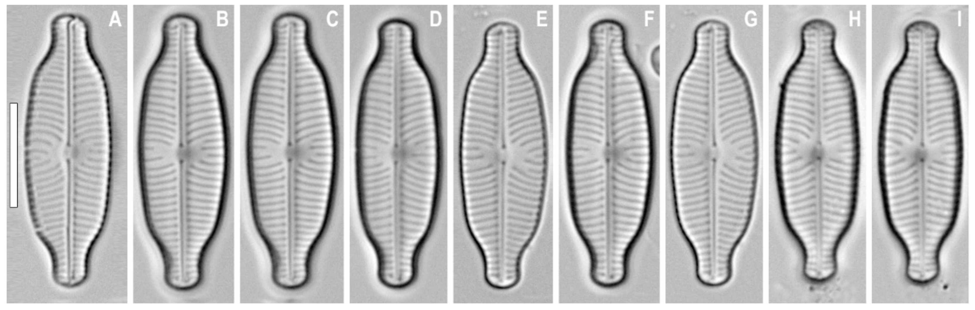 Water 13 03276 g006 550