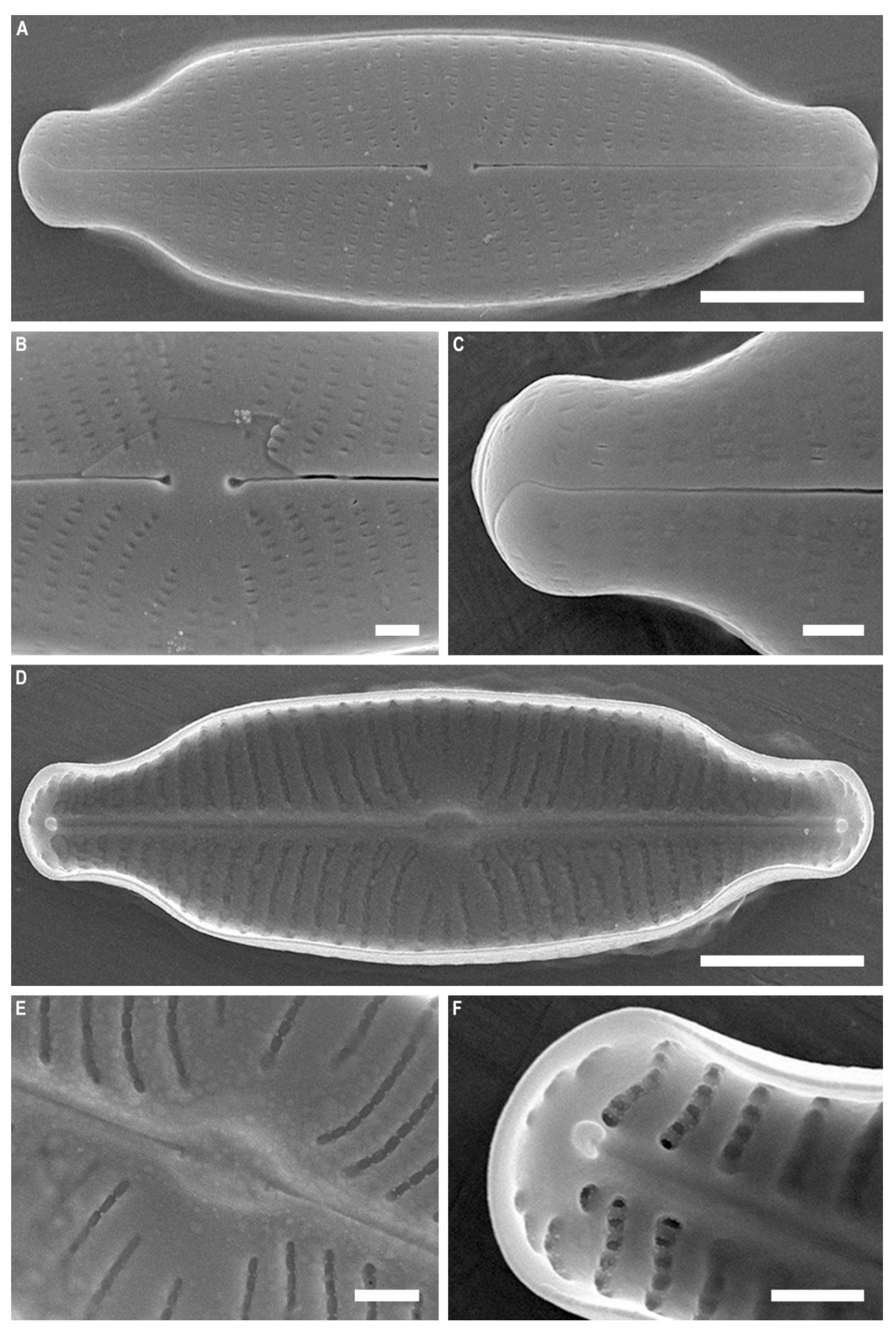 Water 13 03276 g007 550