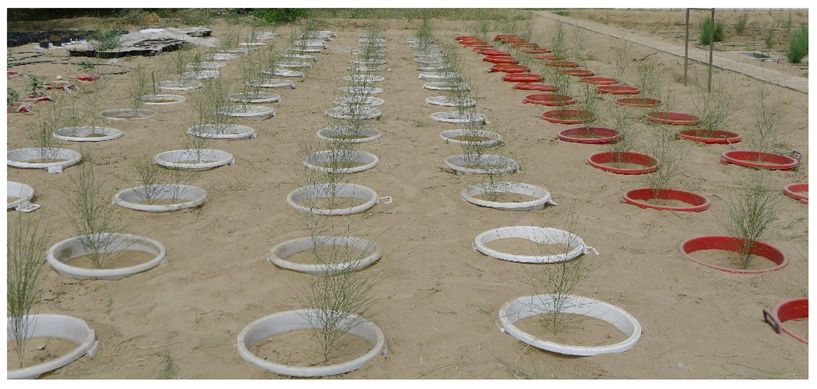 Water 13 03288 g002 Water 13 03288 g002