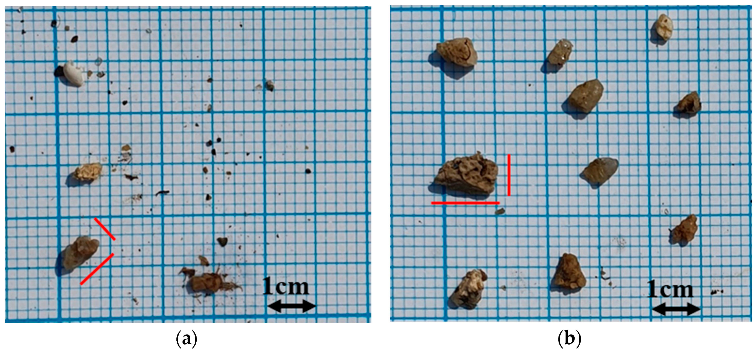 Water 13 03304 g010 Water 13 03304 g010