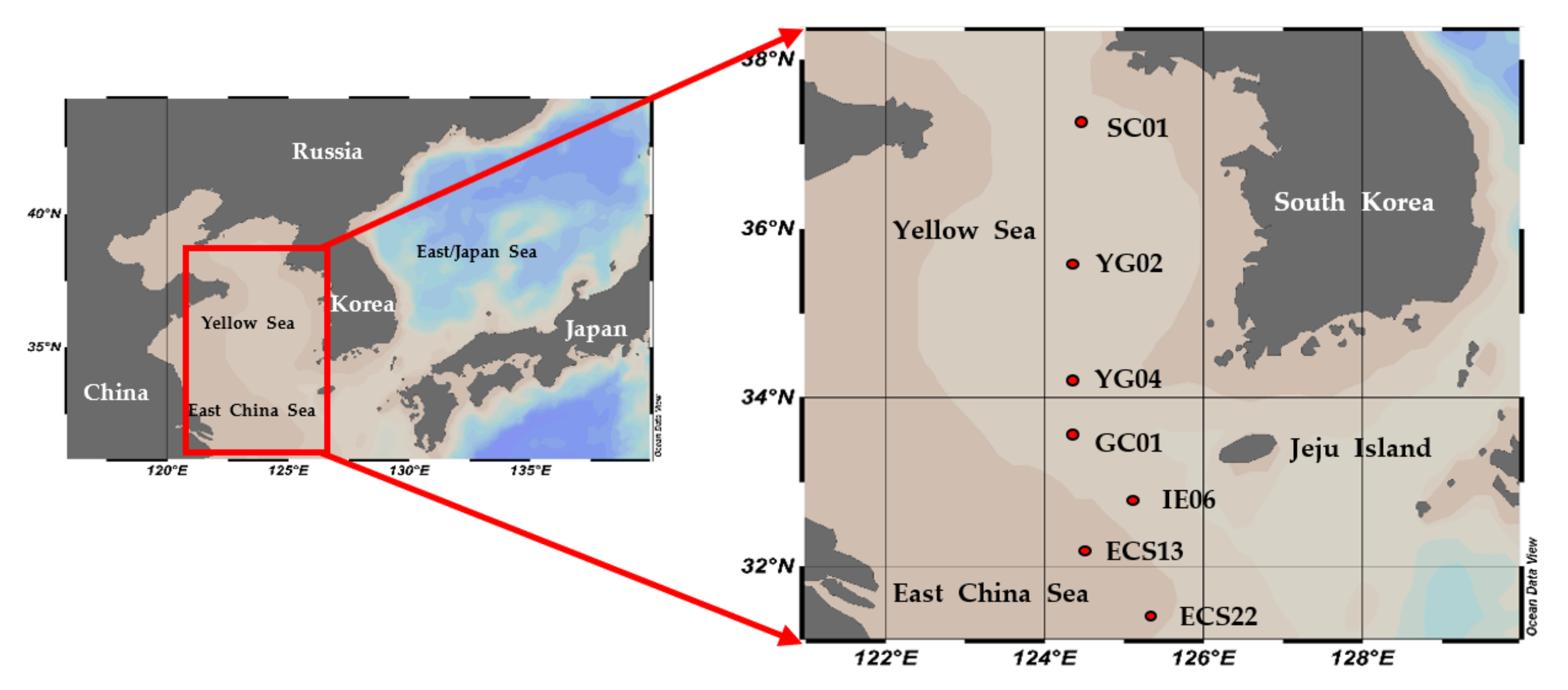 Full article: Different Generating Mechanisms for the Summer Surface Cold  Patches in the Yellow Sea