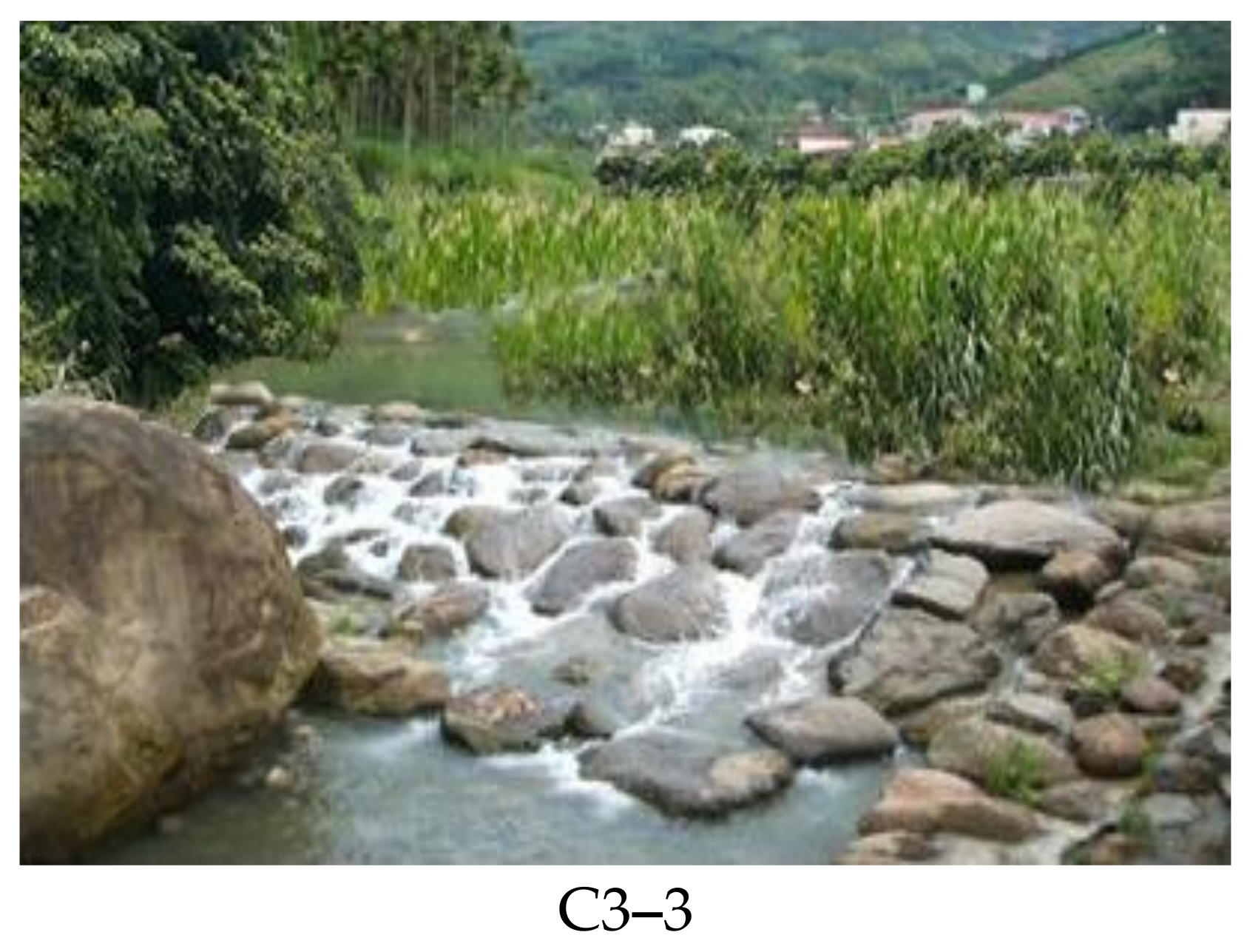 Water 13 03324 g004b