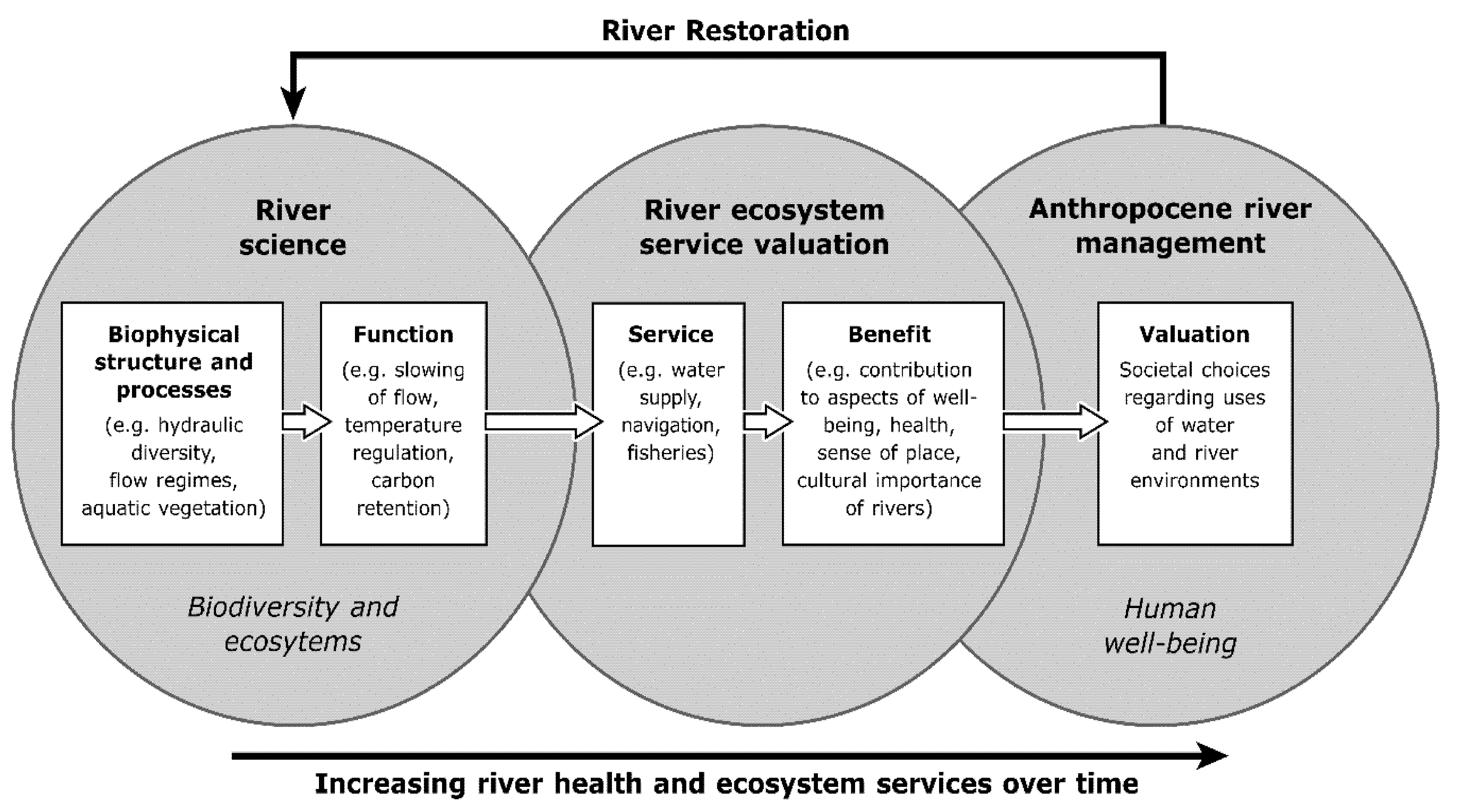 Water 13 03352 g004 550