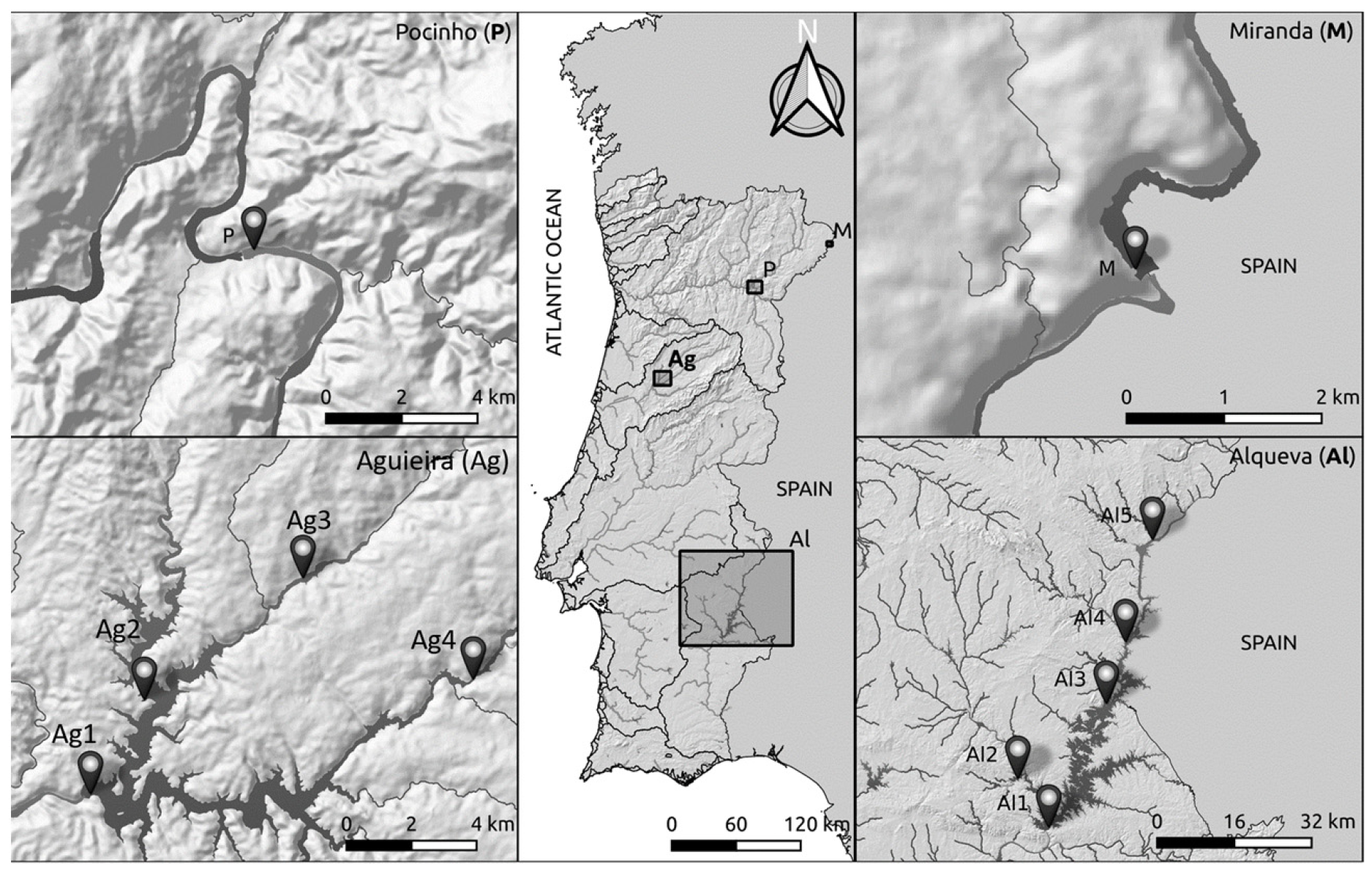 Water 13 03391 g001 Water 13 03391 g001