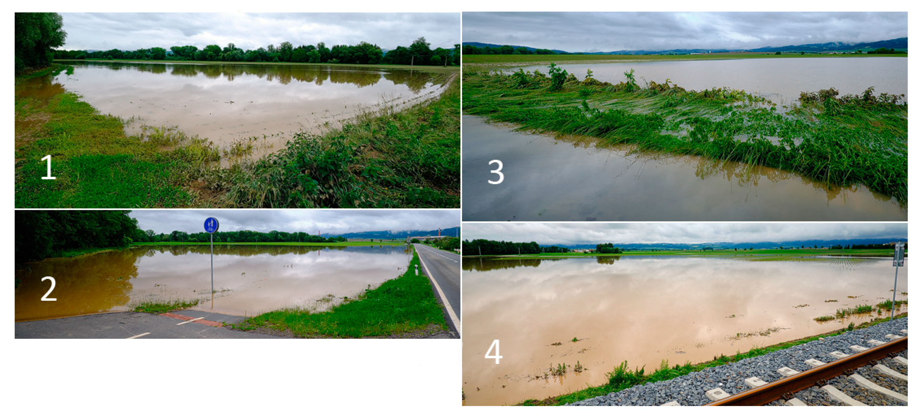 Water 13 03392 g012 550