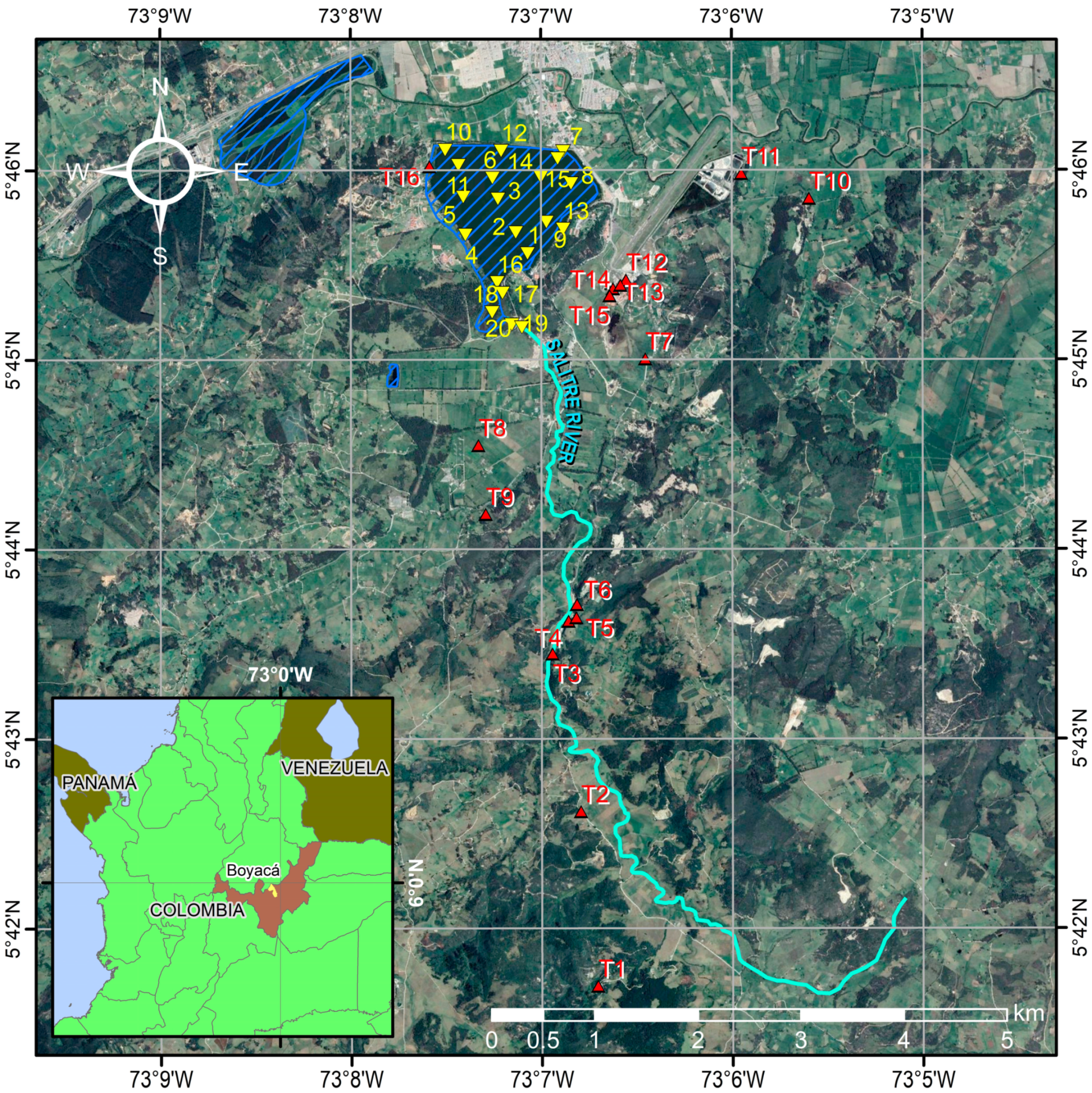 Water 13 03445 g001 550