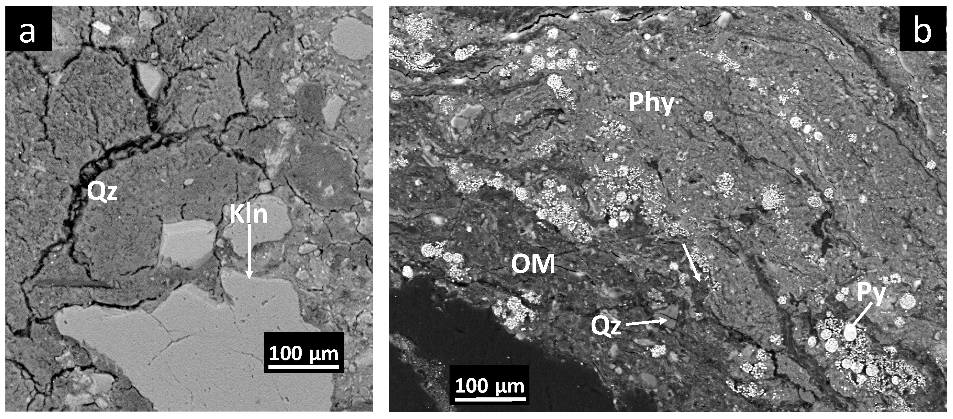 Water 13 03445 g003 550